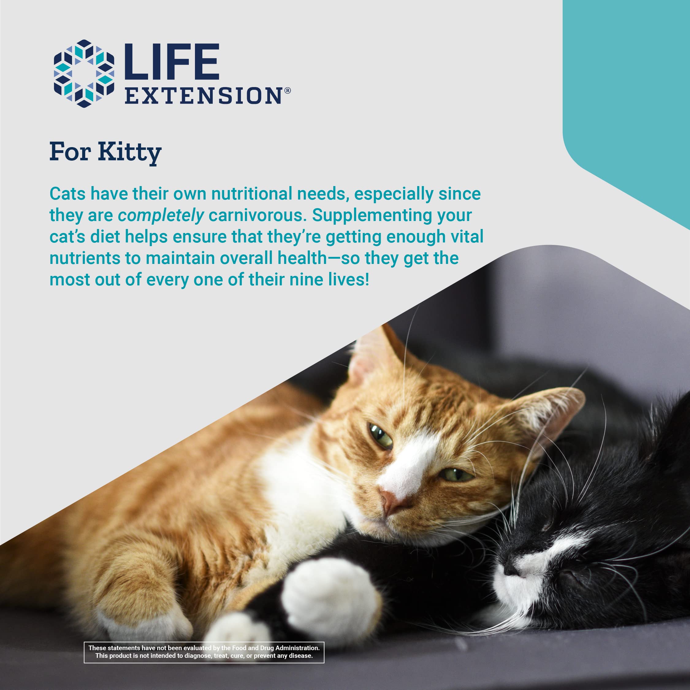 Life Extension Cat Mix – For Heart, Kidney & Pancreatic Function + Gut Health Life Extension uk supplements