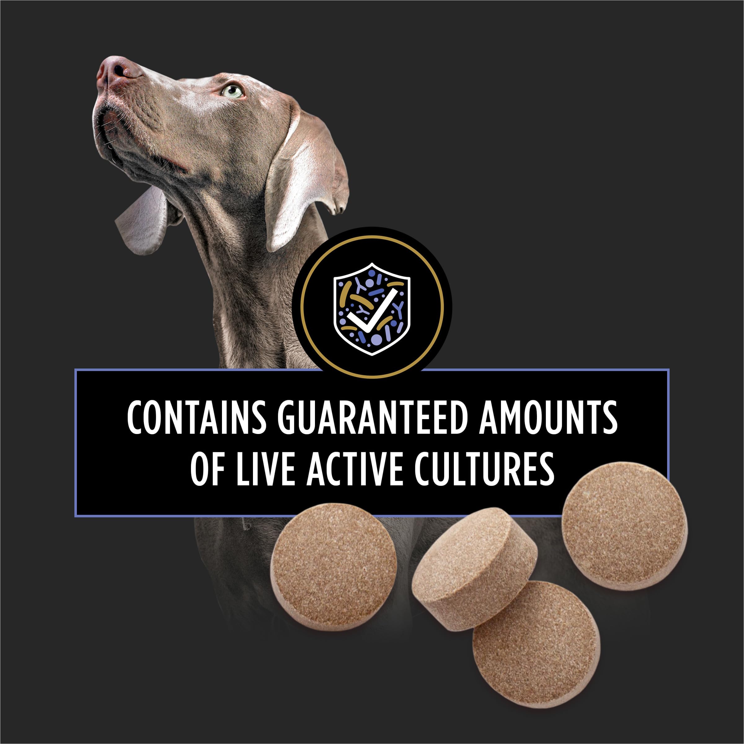 Purina Pro Plan Veterinary Supplements FortiFlora Daily Probiotics for Dogs Chewable Tablets for Digestive Gut Health and Diarrhea - 90 ct. Canister Pro Plan Veterinary Diets uk supplements