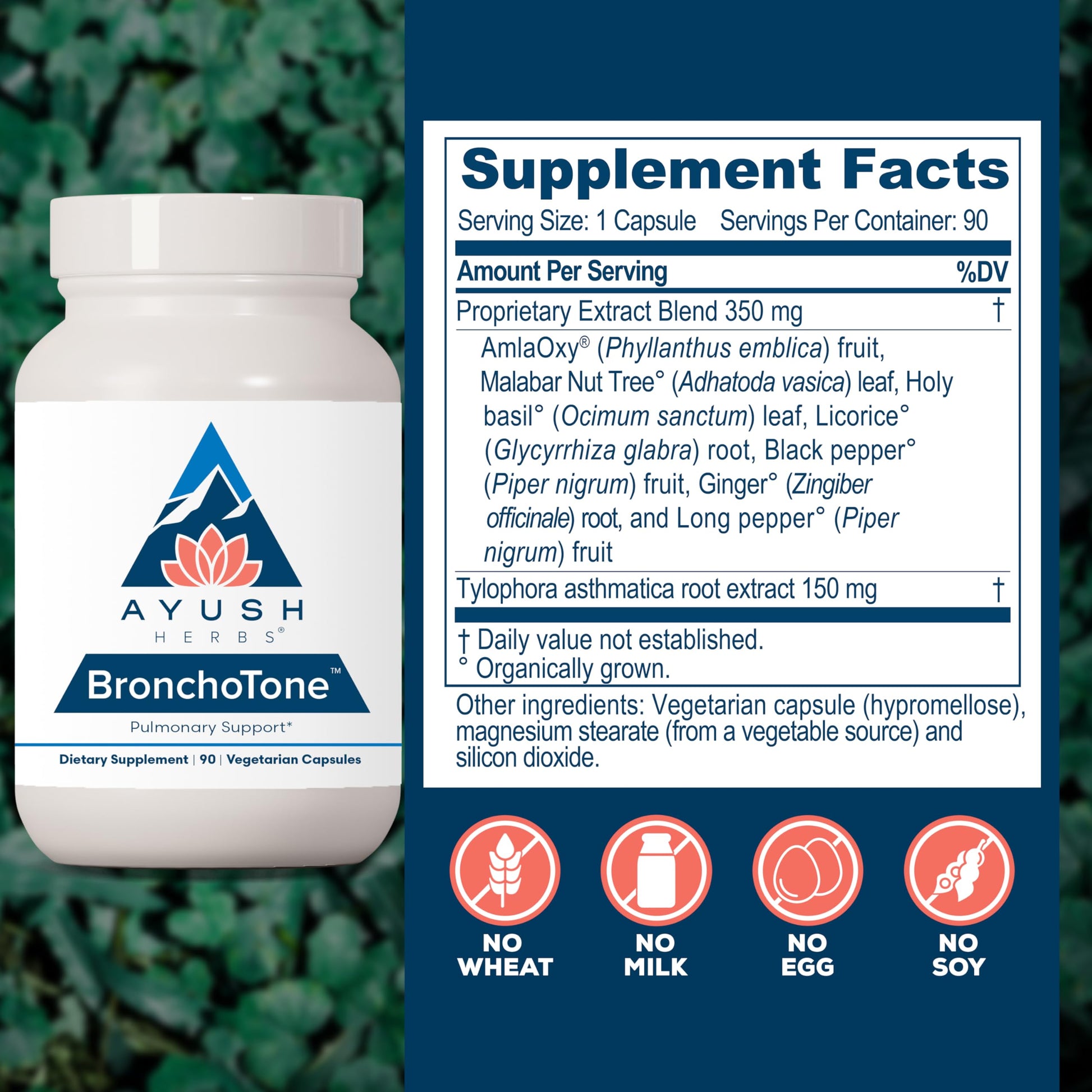 Ayush Herbs Bronchotone - Bronchial Support, Respiratory and Immune-Support Support Supplement for Women & Men, Adults, Pulmonary Care Supplement - 90 Vegetarian Capsules (1 Count) Ayush Herbs uk supplements