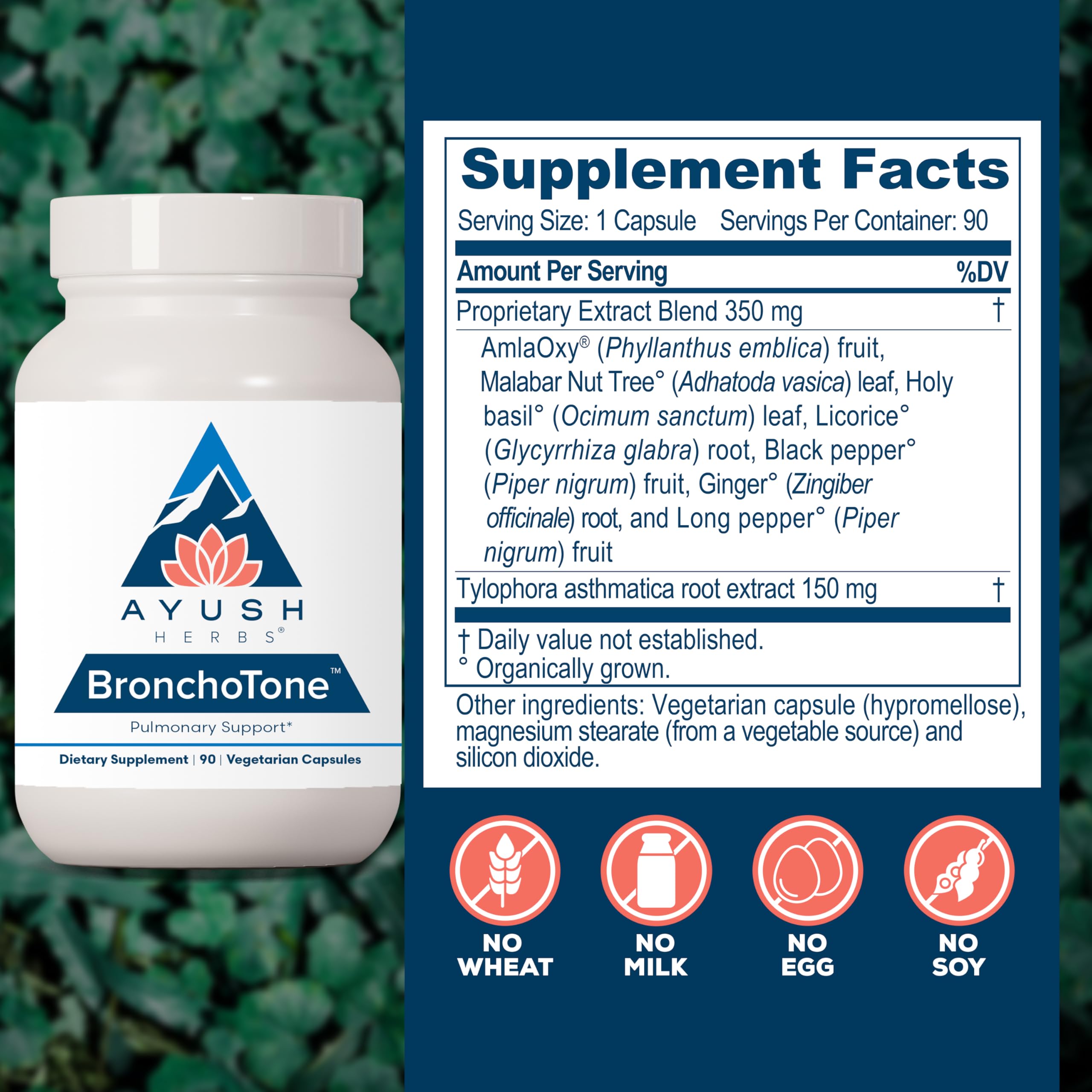 Ayush Herbs Bronchotone - Bronchial Support, Respiratory and Immune-Support Support Supplement for Women & Men, Adults, Pulmonary Care Supplement - 90 Vegetarian Capsules (1 Count) Ayush Herbs uk supplements