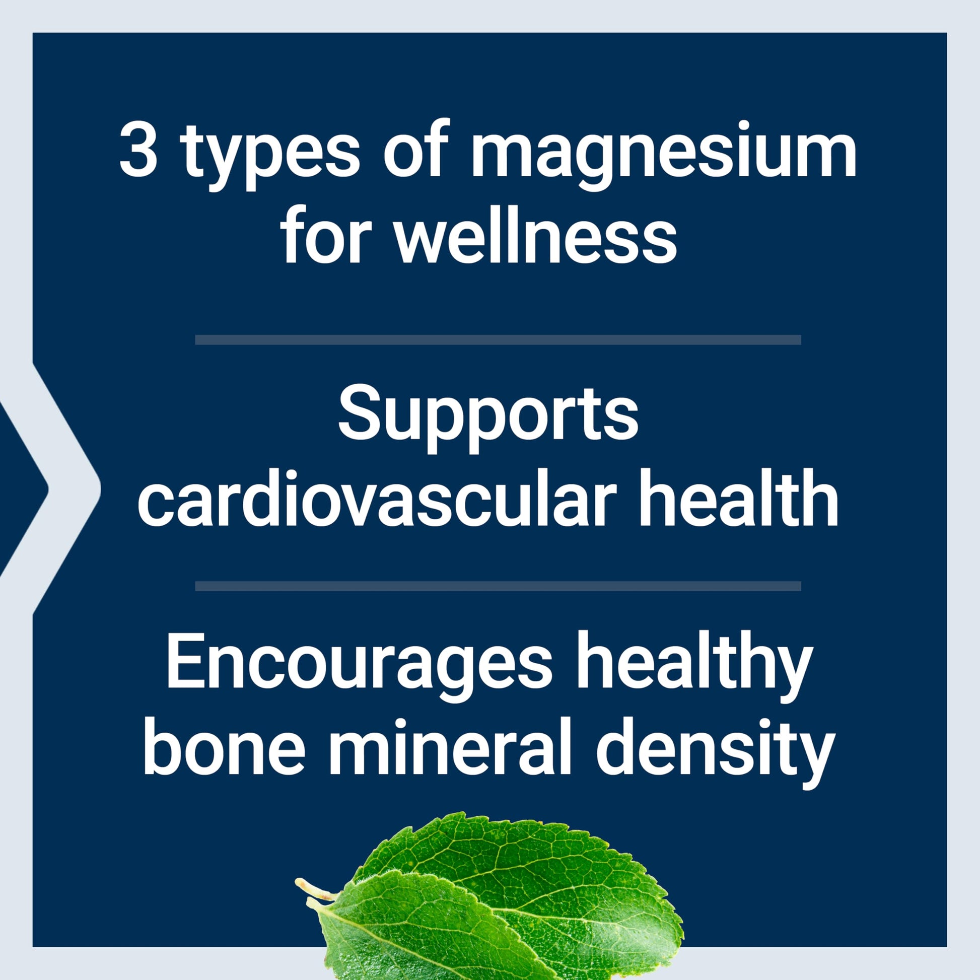 Life Extension Magnesium Caps, 500 mg, Magnesium Oxide, Citrate, and Succinate, Heart Health, Healthy Bones, Metabolism Support, 100 Vegetarian Capsules Life Extension uk supplements