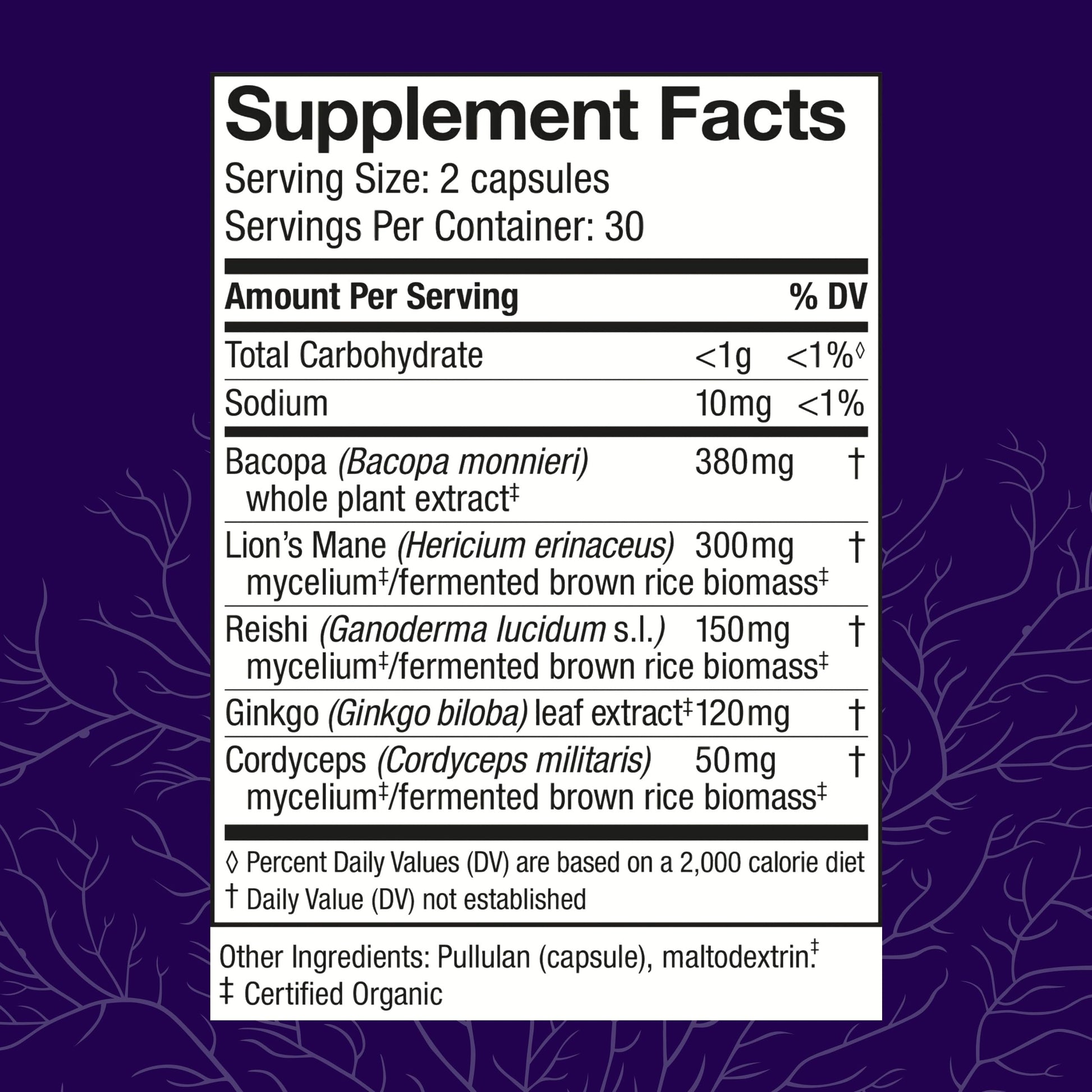 Host Defense MycoBotanicals Brain* Capsules - Brain Support Supplement with Lion's Mane, Reishi & Cordyceps Mushroom - Herbal Supplement for Memory & Focus Support - 60 Capsules Host Defense uk supplements