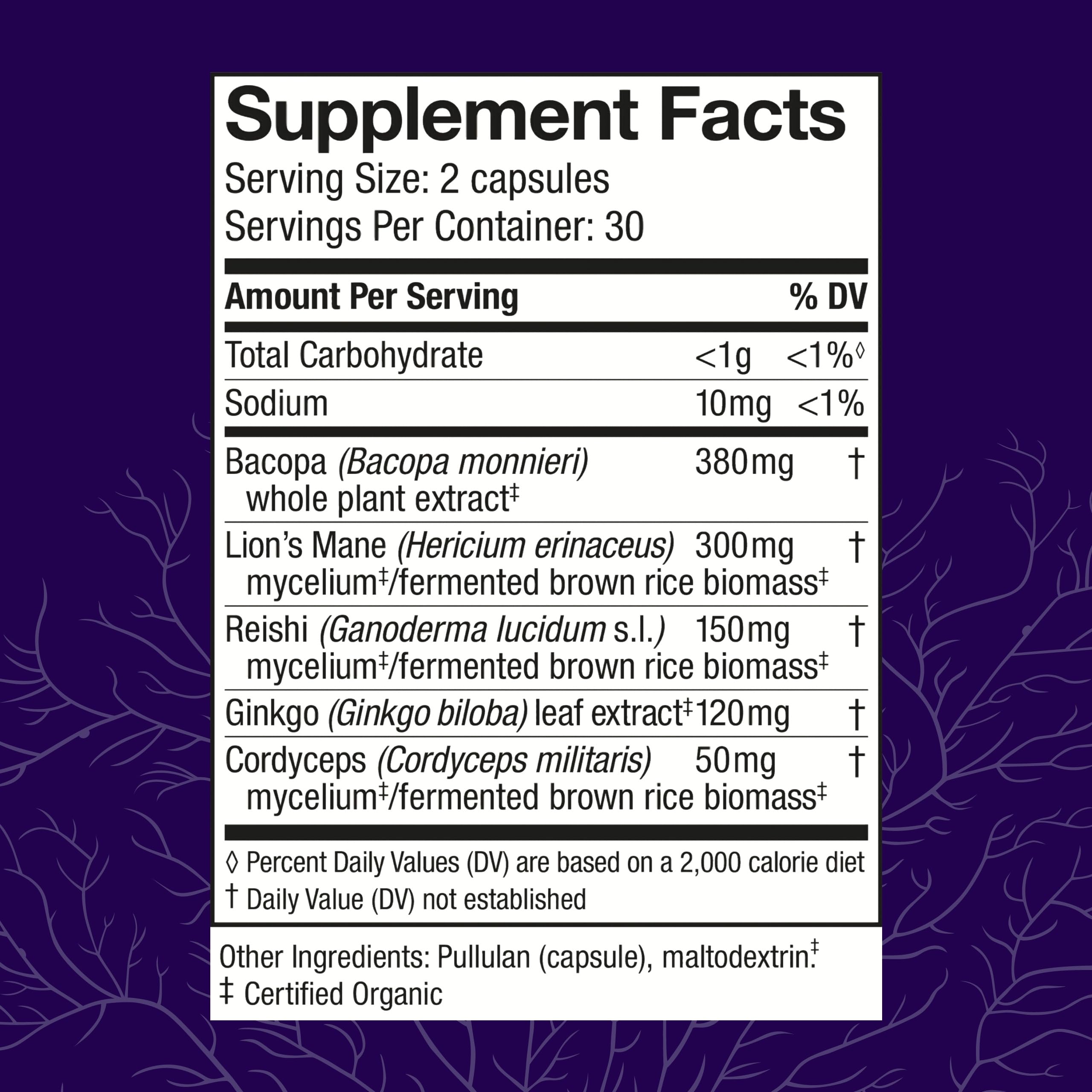 Host Defense MycoBotanicals Brain* Capsules - Brain Support Supplement with Lion's Mane, Reishi & Cordyceps Mushroom - Herbal Supplement for Memory & Focus Support - 60 Capsules Host Defense uk supplements