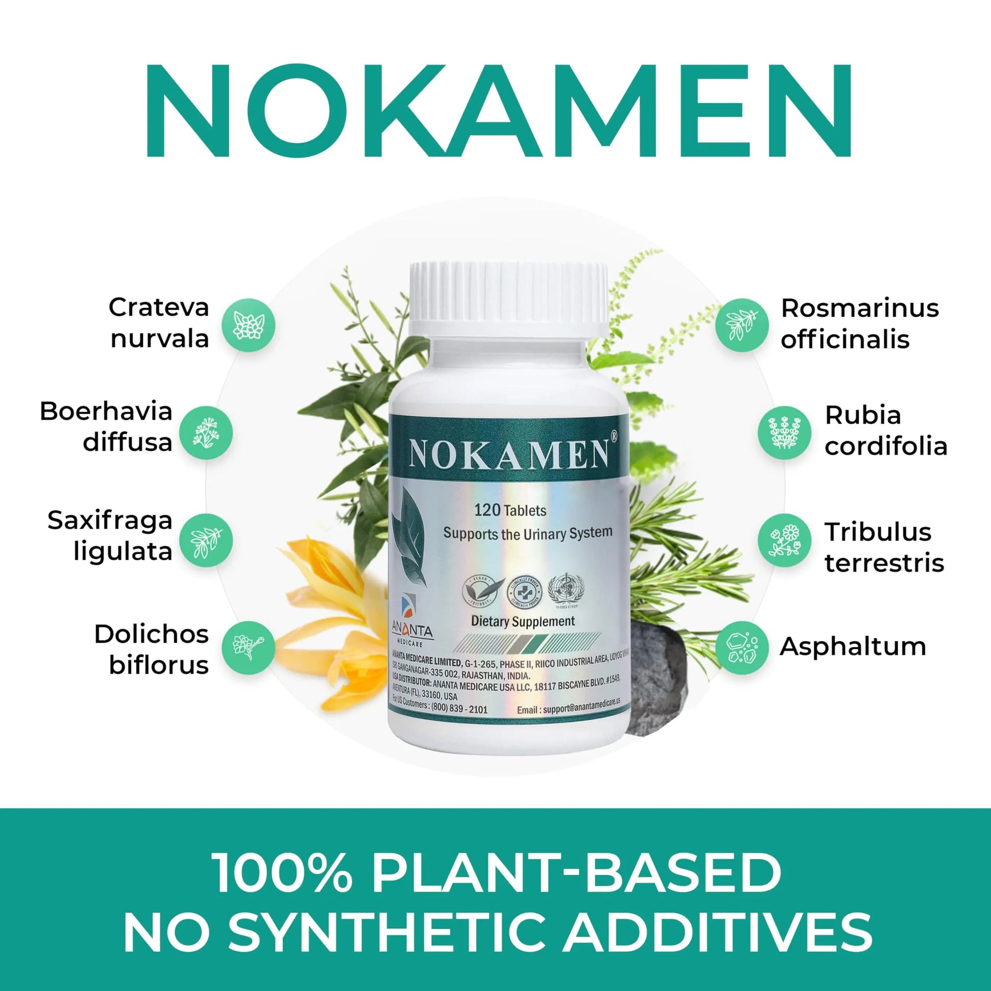 Ananta Medicare USA NOKAMEN – Kidney & Urinary Tract Support Herbal Formula, 120 Tabs Ananta Medicare USA uk supplements