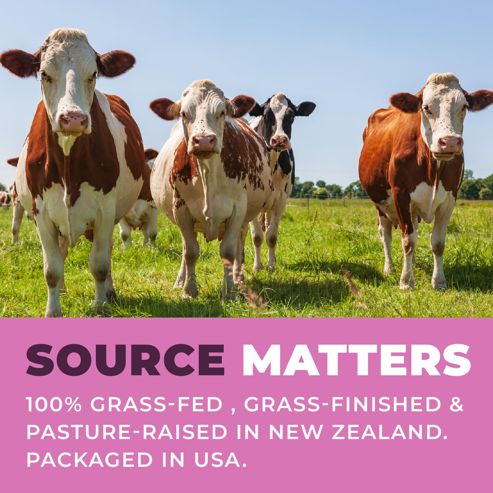 Beef Organ Supplement for Women - Beef Liver, Kidney, Heart and Uterus Tissue, Supports Women's Overall Energy and Health - Pasture Raised in New Zealand - No Fillers or Flow Agents - 120 Capsules Left Coast Performance uk supplements