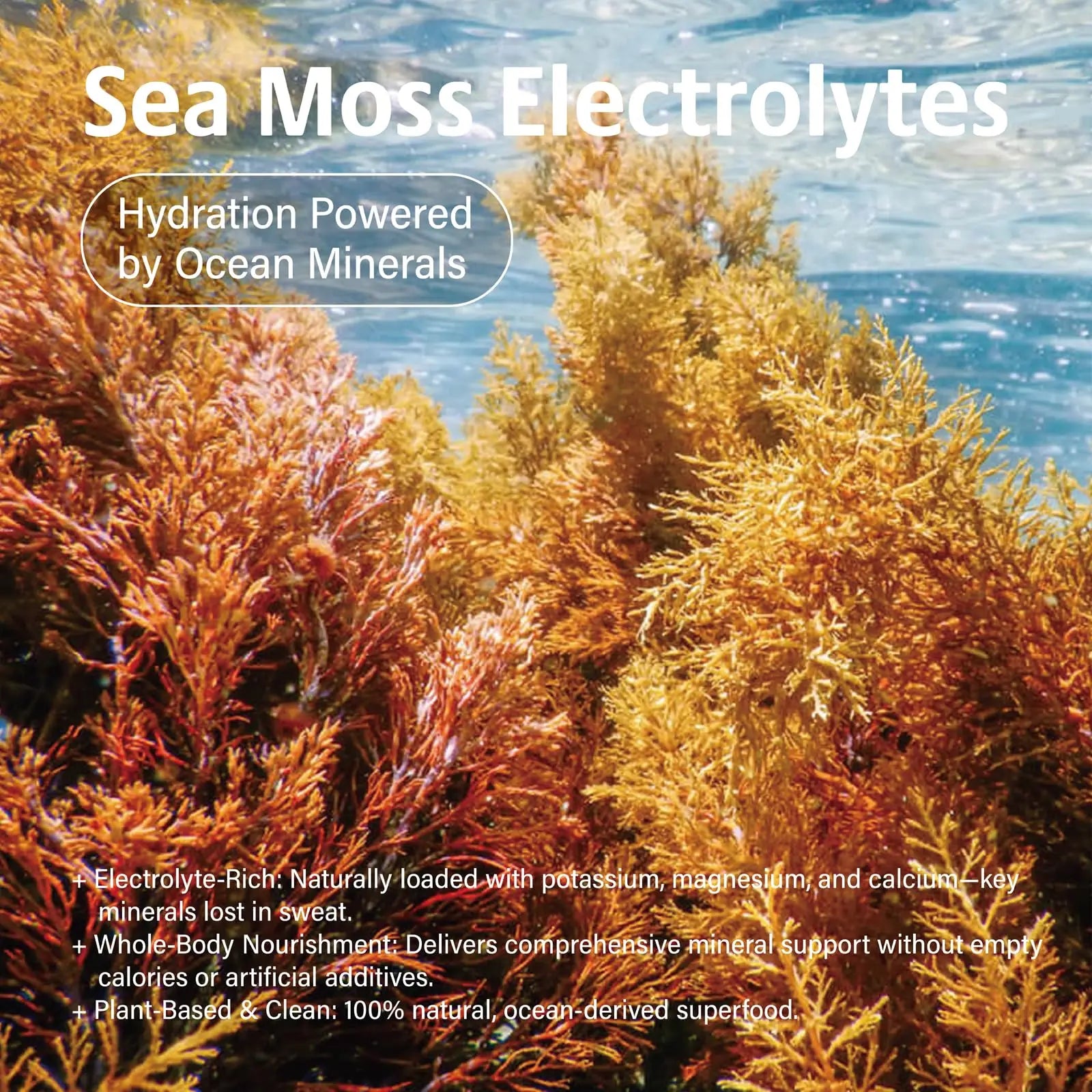 VDY Sea Moss Electrolytes Powder Packets - Hydration Packets Sugar Free - Electrolyte Packets with 30 Sticks - Zero Sugar & 0 Calorie - Keto Friendly VDY uk supplements