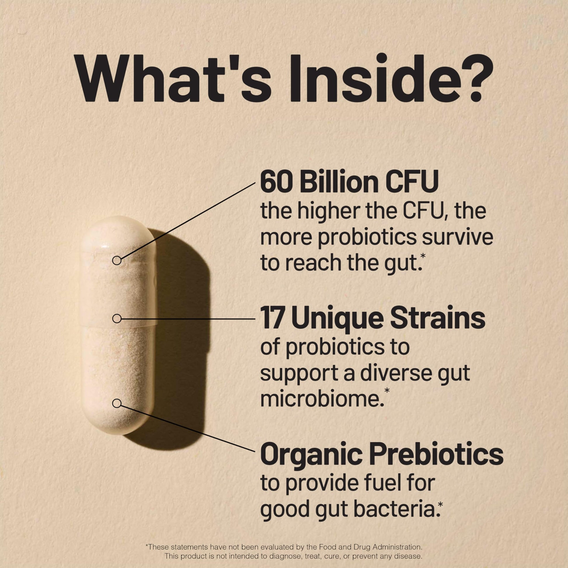 NatureWise Probiotics 60 Billion CFU - 17 Strains + Organic Prebiotics - Immune, Digestive & Gut Health Support for Women & Men - Vegetarian, Gluten-Free, Non-GMO - 30 Capsules[1-Month Supply] NatureWise uk supplements