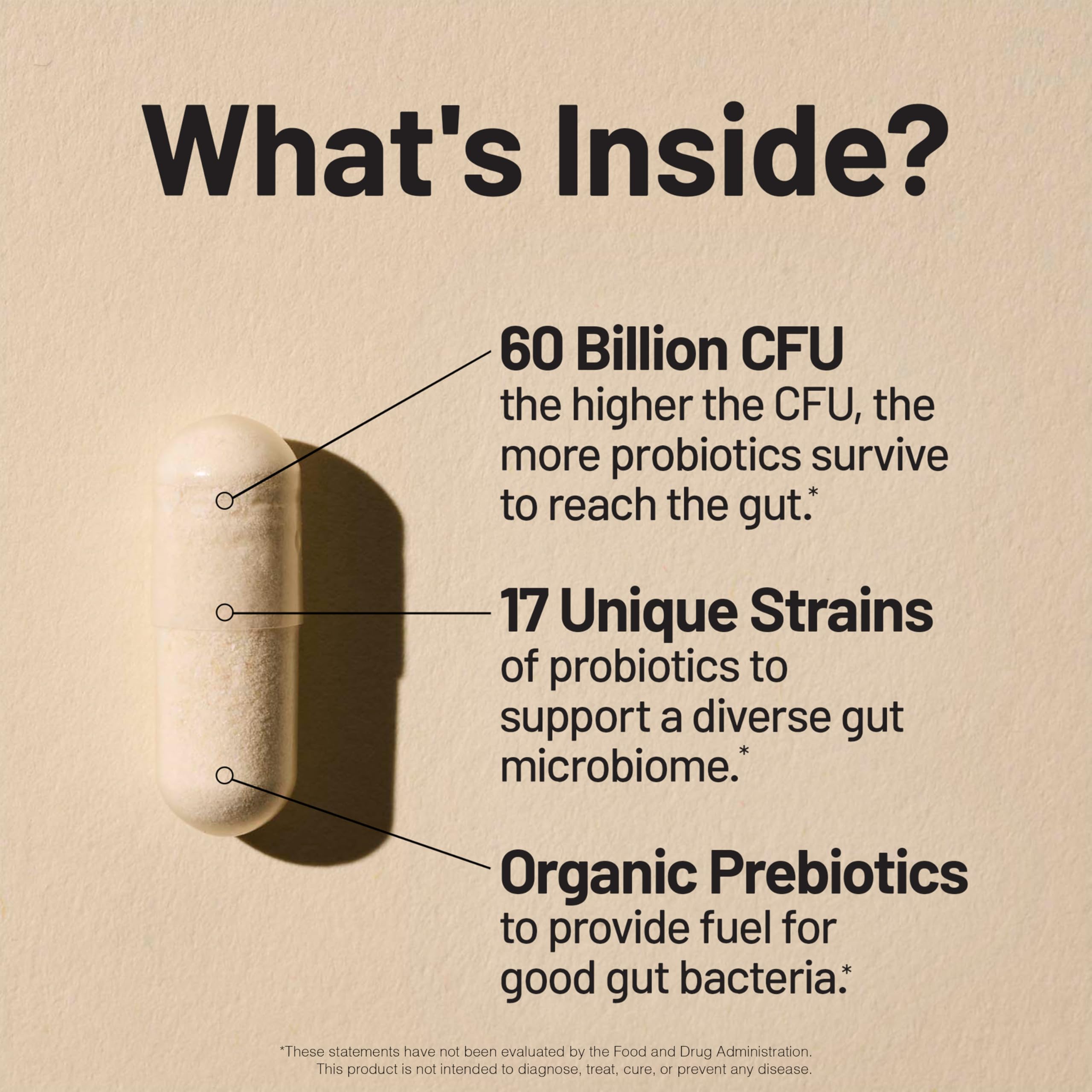 NatureWise Probiotics 60 Billion CFU - 17 Strains + Organic Prebiotics - Immune, Digestive & Gut Health Support for Women & Men - Vegetarian, Gluten-Free, Non-GMO - 30 Capsules[1-Month Supply] NatureWise uk supplements