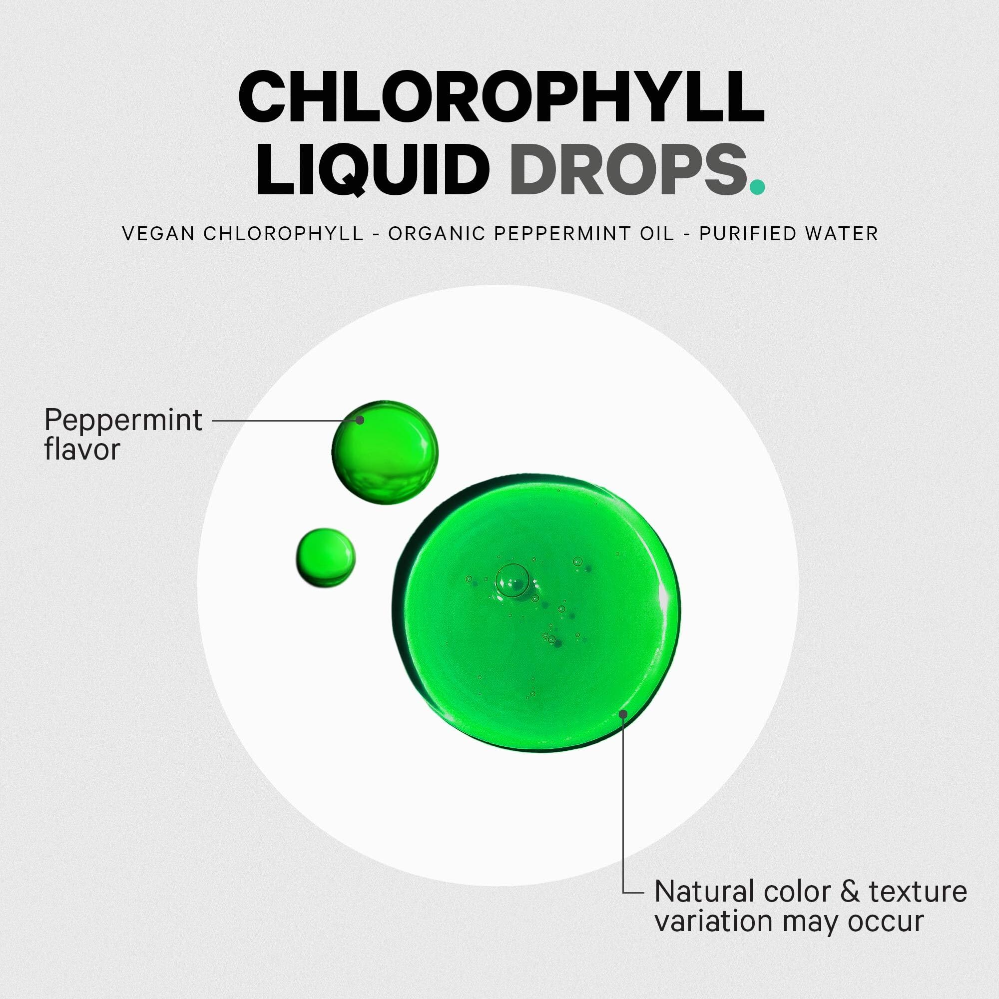 Codeage Chlorophyll Liquid Drops Supplement - Vegan Chlorophyll 50 mg per Serving, Organic Peppermint Flavor Clorofila Drink - Non-GMO, Gluten-Free, Vegan - 2 fl oz Codeage uk supplements