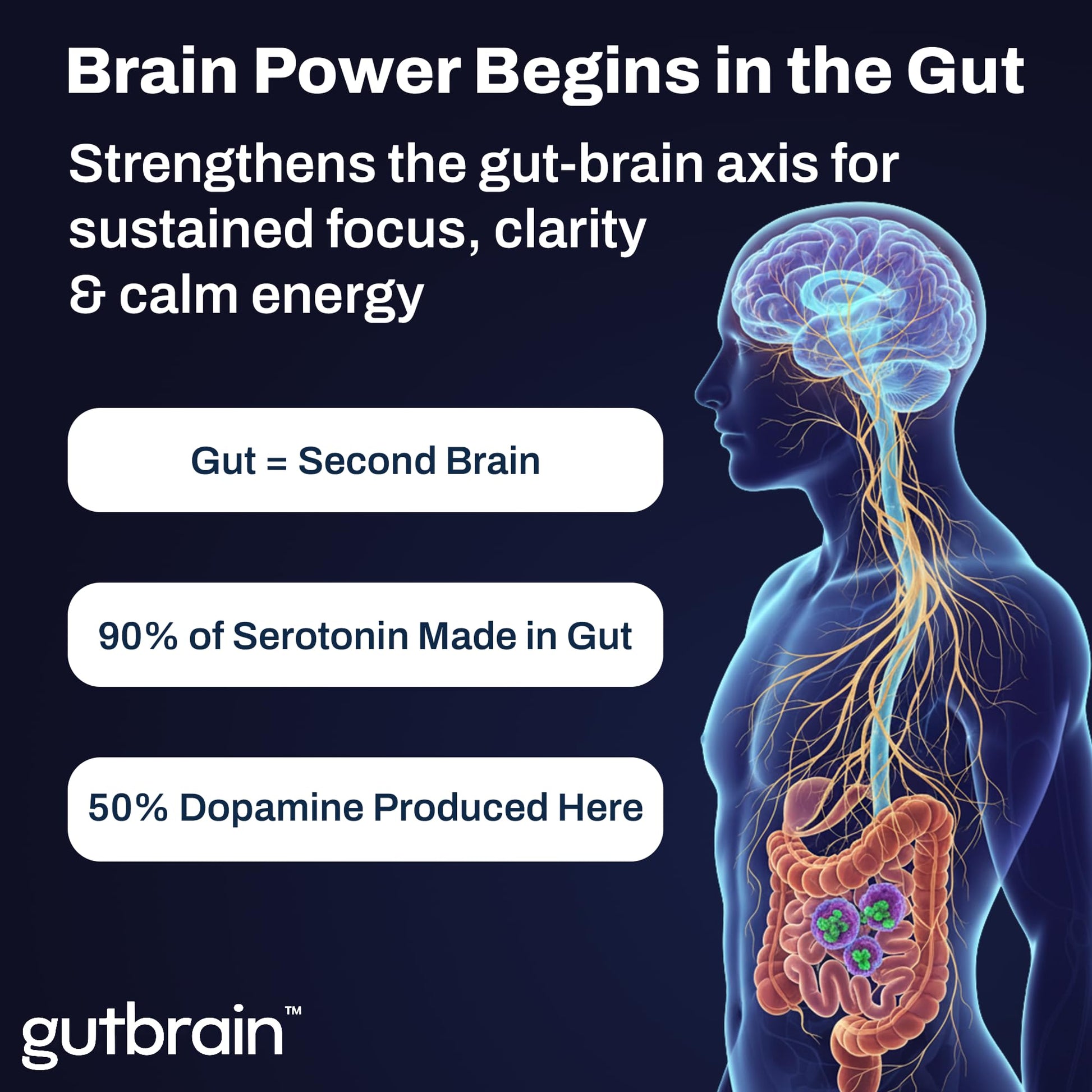 Brain Supplement for Memory and Focus with Probiotics, Advanced 2 in 1 Nootropic Brain Support for Mental Clarity, Caffeine Free Doctor Formulated Supplement, 60 Capsules Purity Labs uk supplements