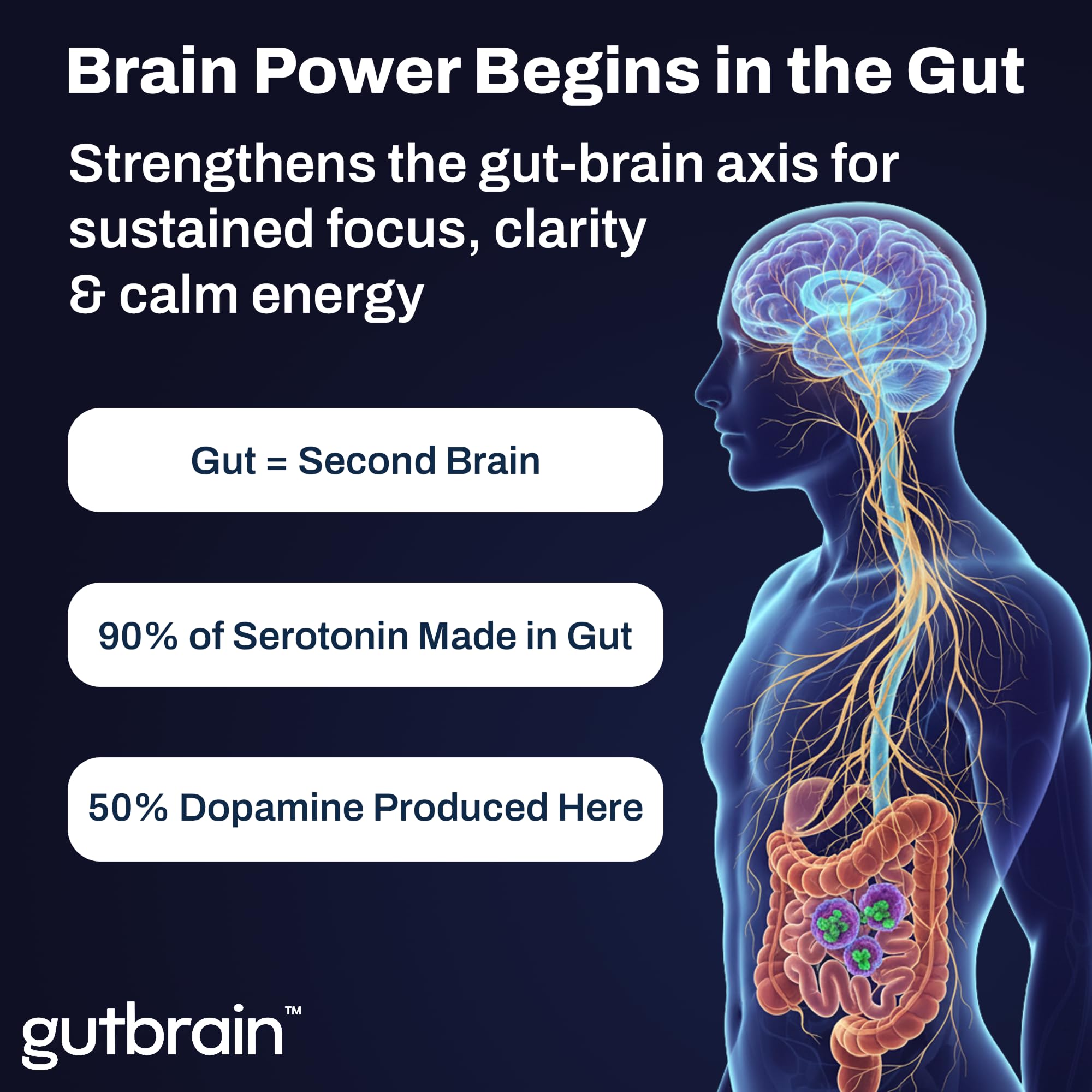Brain Supplement for Memory and Focus with Probiotics, Advanced 2 in 1 Nootropic Brain Support for Mental Clarity, Caffeine Free Doctor Formulated Supplement, 60 Capsules Purity Labs uk supplements