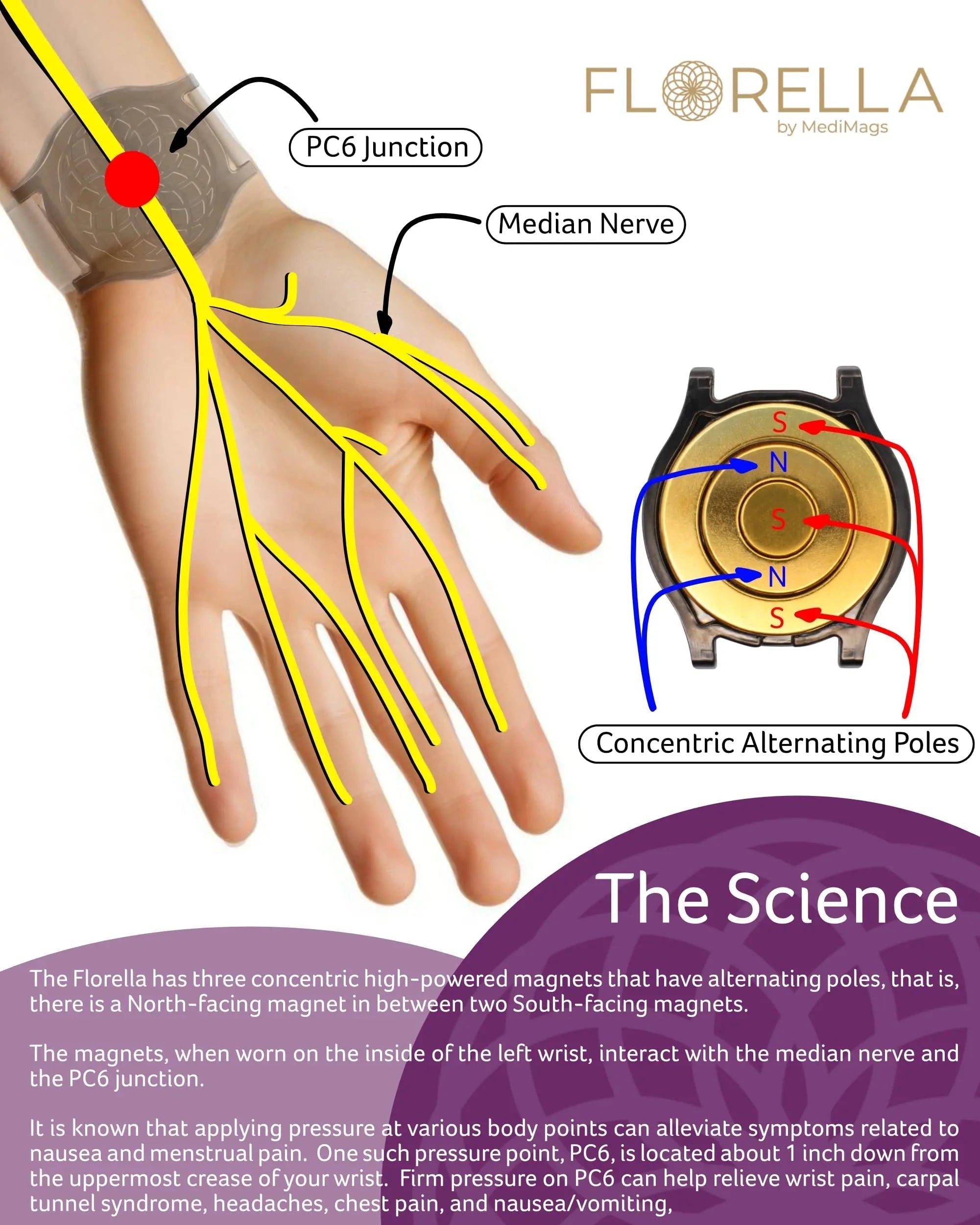 MediMags Period Pain Relief Device - Clinically Proven, All Natural Relief for A Life On The Go - The Florella Therapeutic Device Helps Alleviate The Pain from Menstrual Cramps. Florella uk supplements