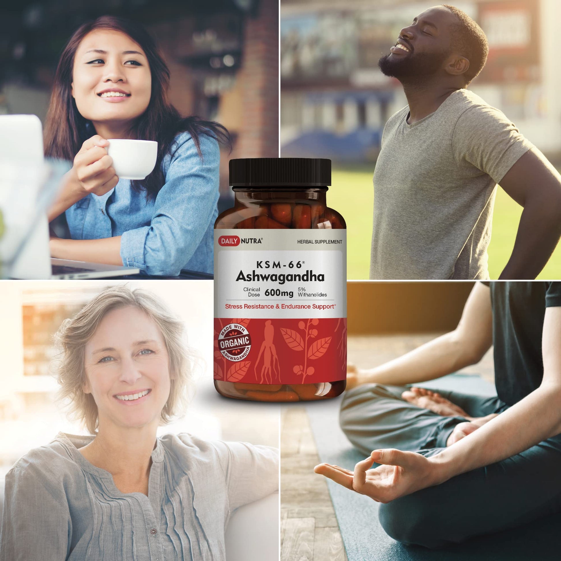 DailyNutra KSM-66 Ashwagandha 600mg Organic Root Extract - High Potency Supplement with 5% Withanolides | Relieves Tiredness, Supports Relaxation, Focus, Energy, & Muscle Growth (90 Capsules) DailyNutra uk supplements