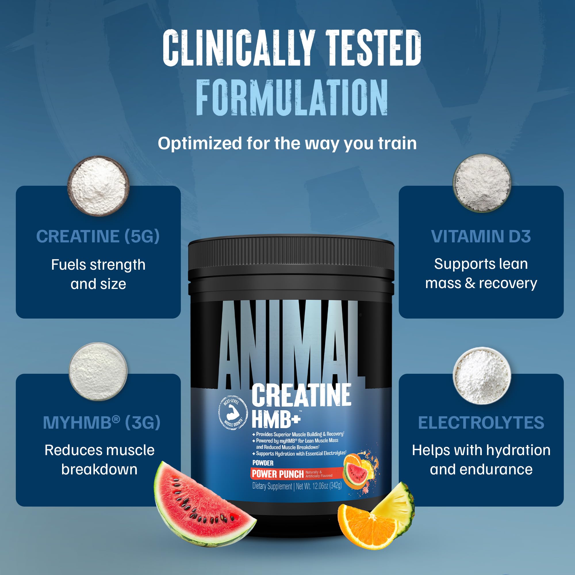 Animal Creatine HMB Powder – 3g myHMB + 5g Creatine with Electrolytes for Recovery & Daily Energy – Power Punch Flavor, 30 Servings Animal uk supplements