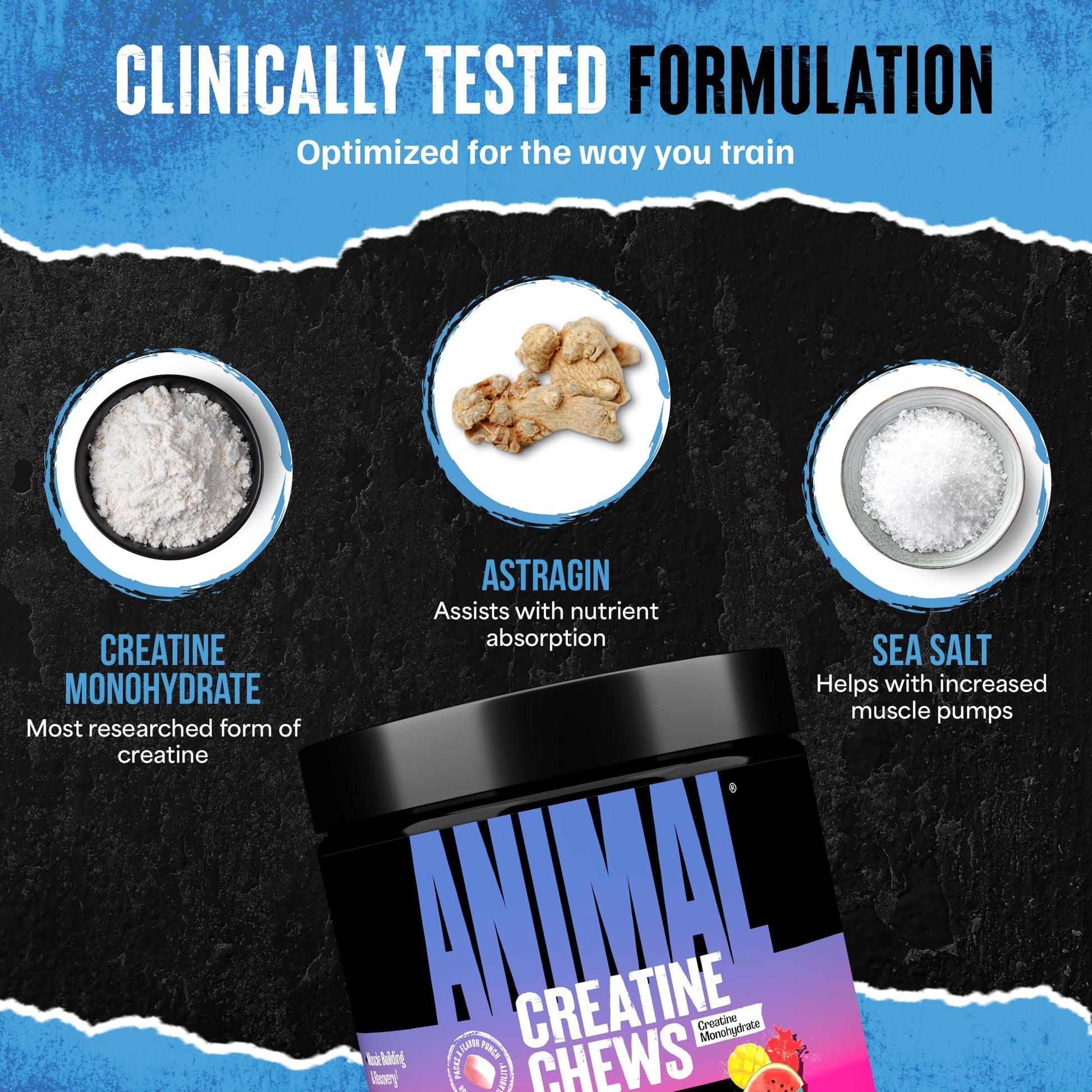 Animal Creatine Chews Tablets - Enhanced Creatine Monohydrate with AstraGin to Improve Absorption, Sea Salt for Added Pumps, Delicious and Convenient Chewable Tablets - Fruit Punch Animal uk supplements