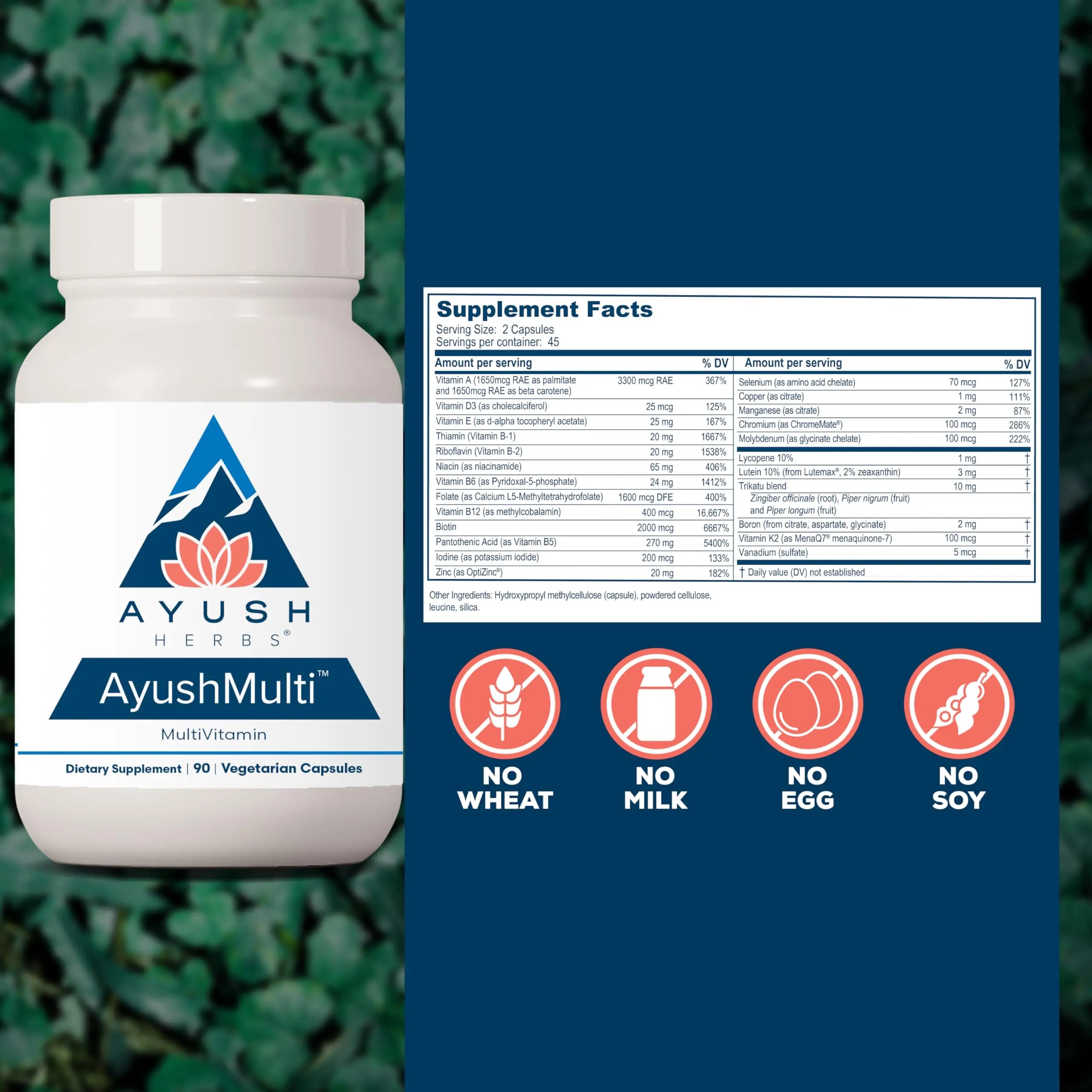 Ayush Herbs Ayush Multi - Multi Vitamin Capsules, Multivitamin with Iodine & Zinc for Men & Women Ayush Herbs uk supplements
