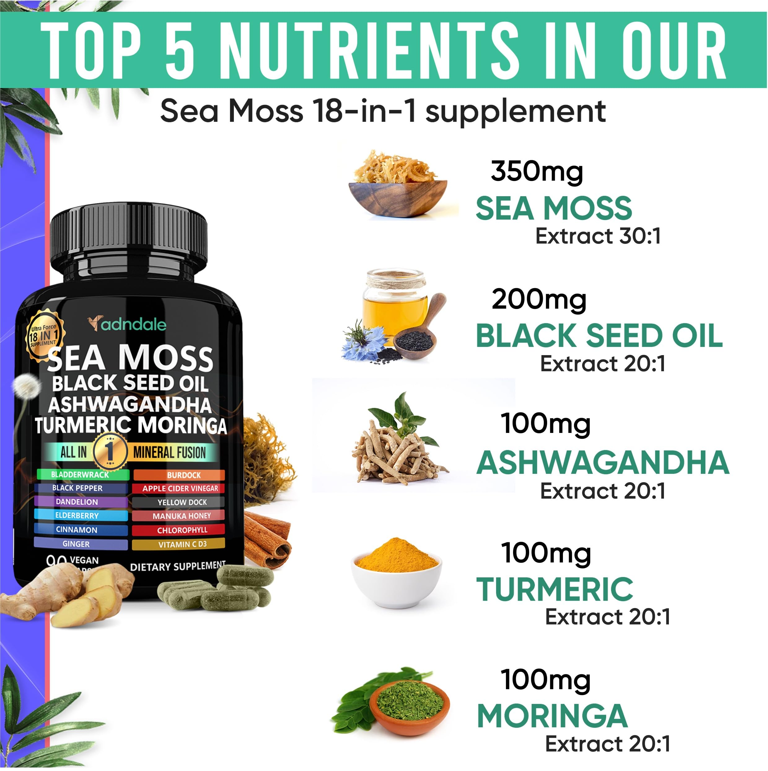 Adndale Sea Moss Capsules - Sea Moss Blend with Ashwagandha, Turmeric & Black Seed Oil - 180 Count Adndale uk supplements