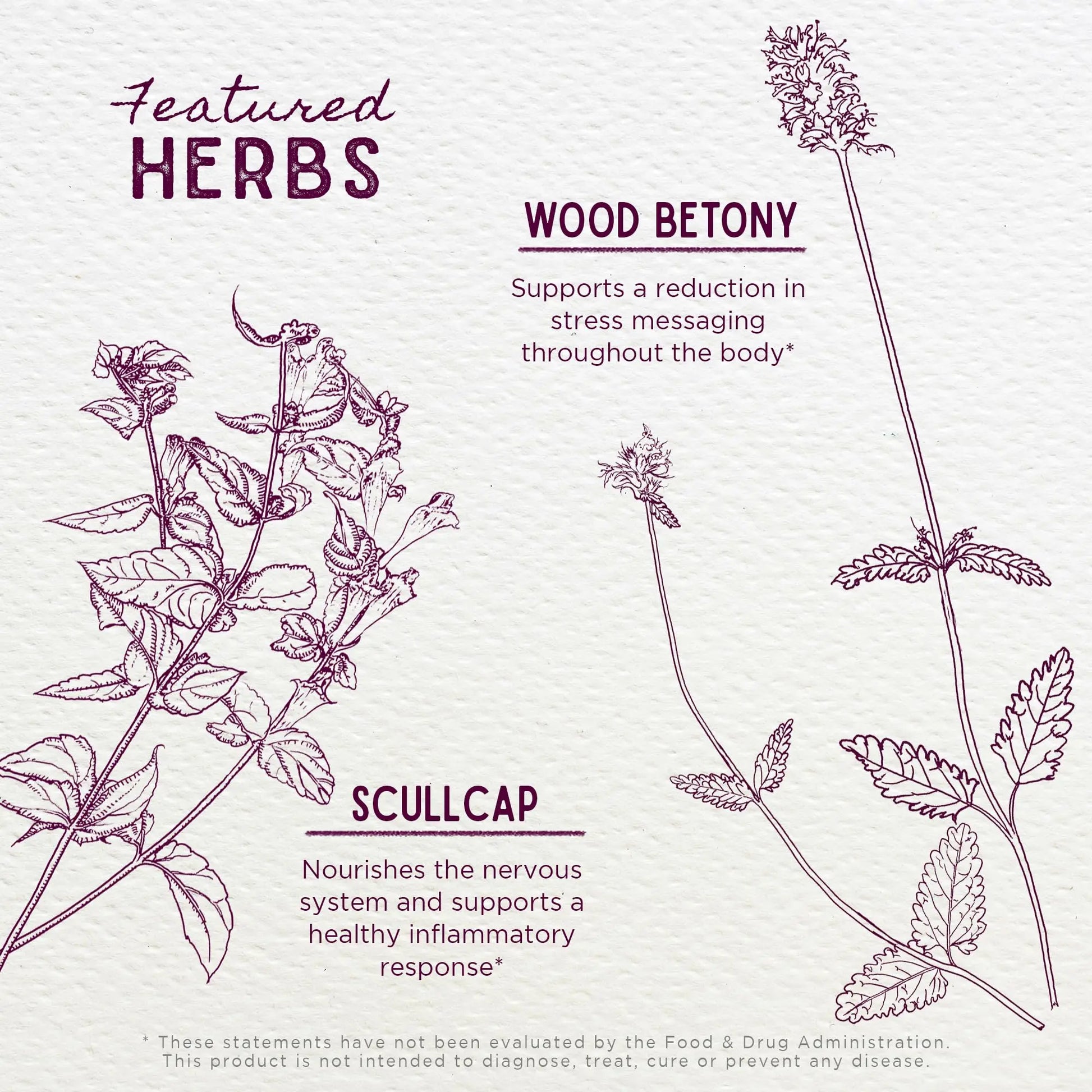 WishGarden Herbs Serious Relaxer, Liquid Herbal Muscle Relaxant with Wild Lettuce & Valerian Root, Eases Neck & Shoulder Tension, Tense Muscles, Muscle Spasms & Restless Legs, Non-GMO, Vegan, 4oz WishGarden uk supplements