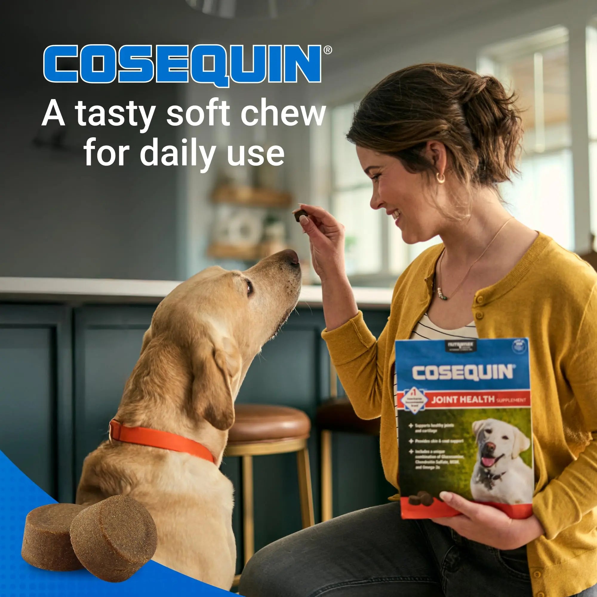 Nutramax Cosequin for Dogs Joint Health Supplement, Contains Glucosamine, Plus Chondroitin, MSM and Omega-3s, Supports Joint and Skin and Coat Health, Soft Chews, 120 Count Nutramax Laboratories uk supplements