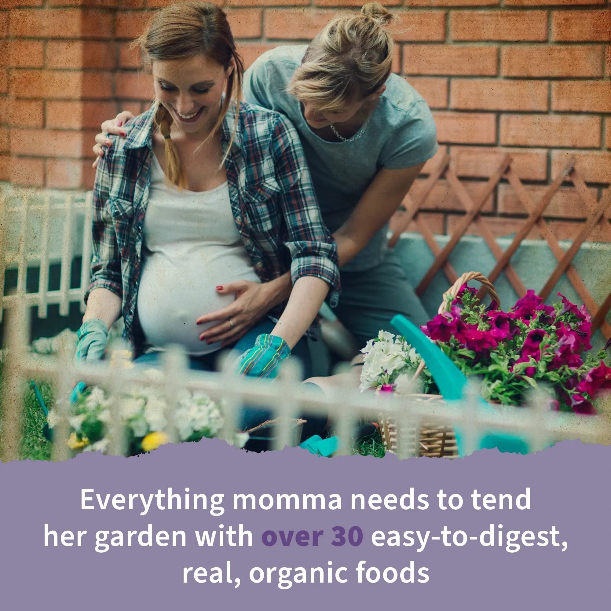 Garden of Life Organics Women’s Prenatal Multivitamin with Vitamin D3, B6, B12, C & Iron, Folate for Energy & Healthy Fetal Development – Organic Garden of Life uk supplements