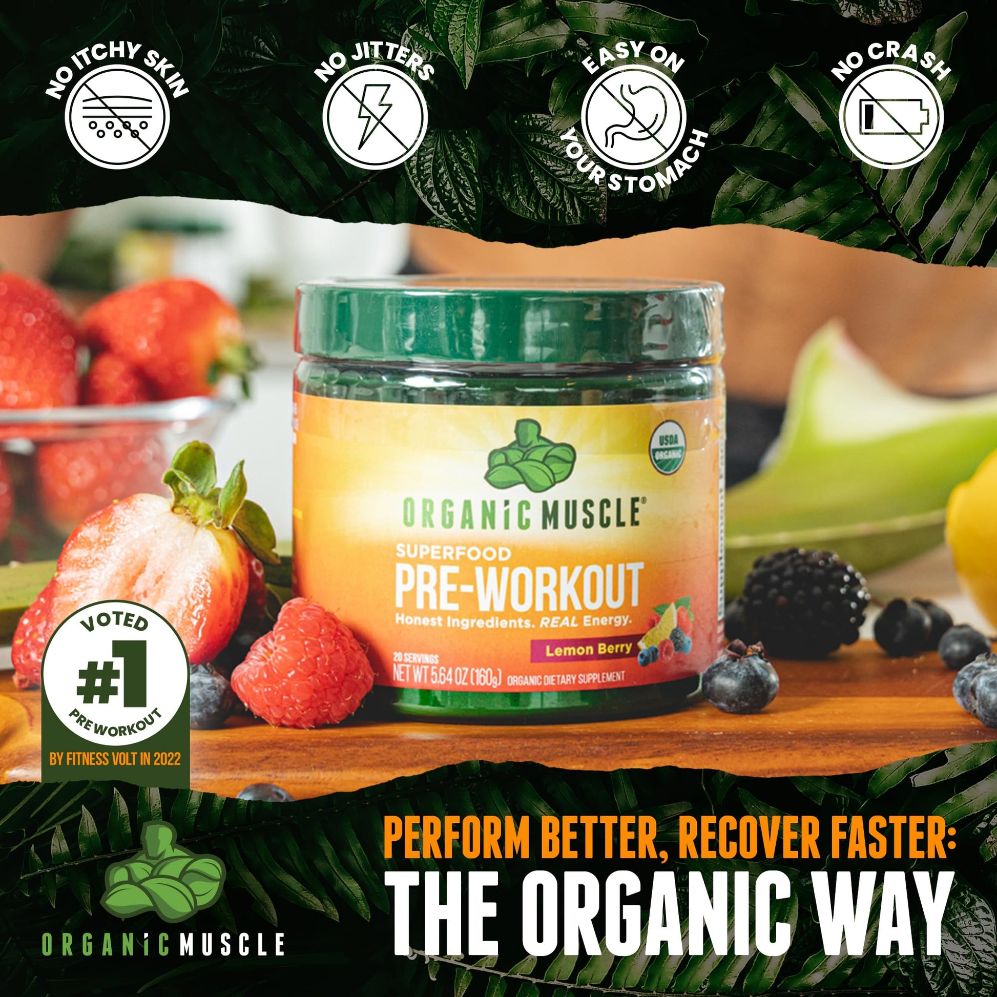 Organic Muscle Superfood Pre Workout Powder for Men & Women, Lemon Berry Organic Muscle uk supplements