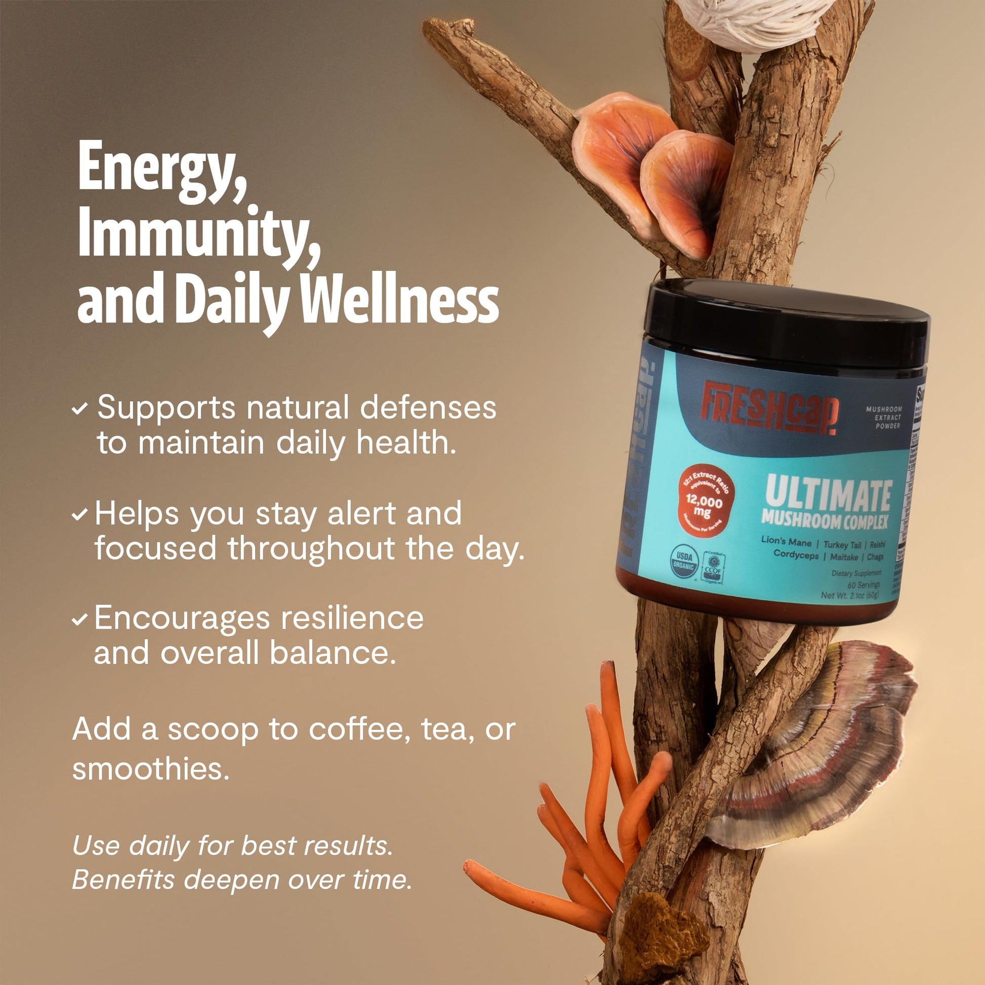 FreshCap Mushrooms Ultimate Mushroom Supplement Powder 12,000mg - Nootropic Organic Mushroom Complex for Focus & Memory, Brain Support Supplement, Ayurveda Mushroom Powder Extract (60 Servings) FreshCap Mushrooms uk supplements