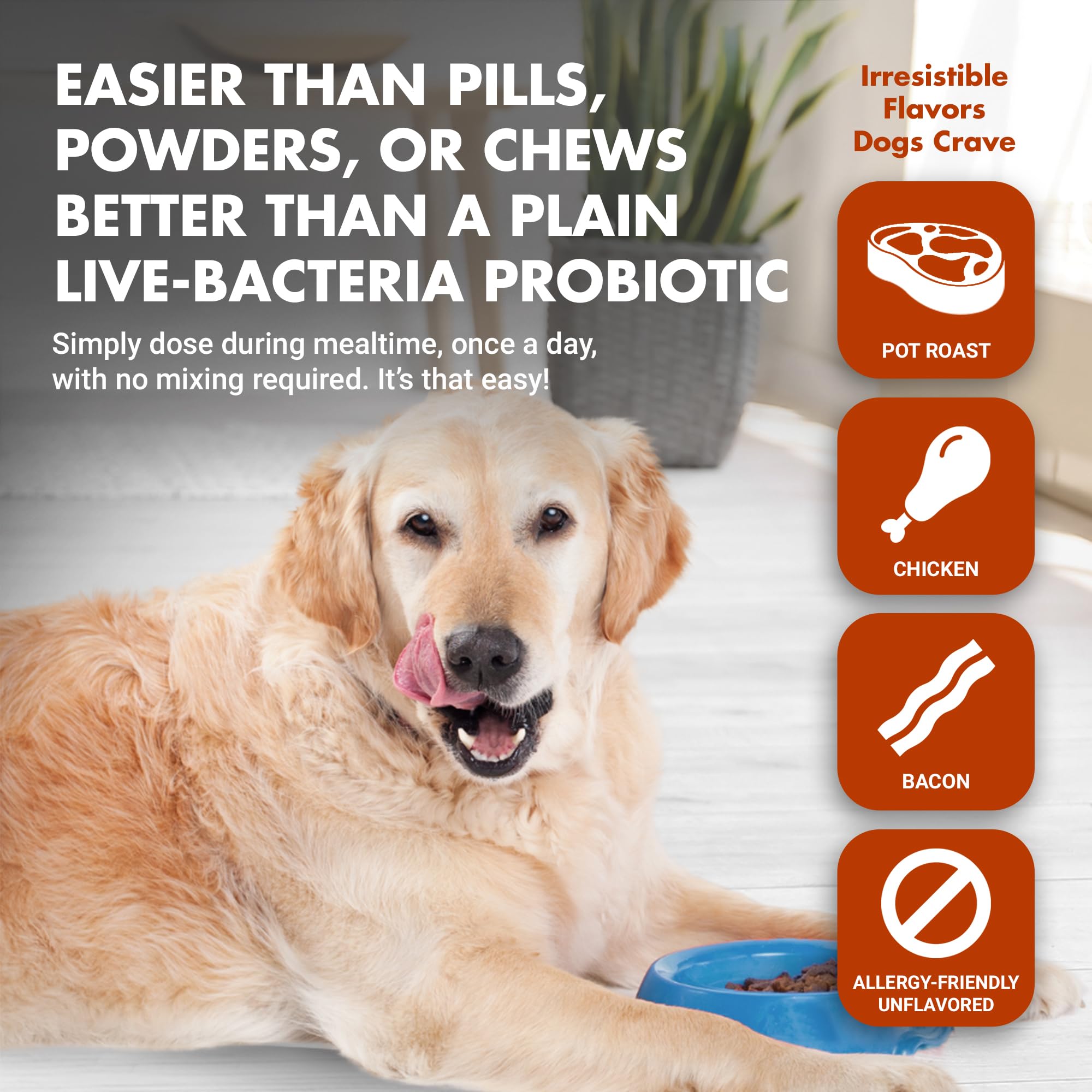 Pre & PostBiotic Support for Dogs – Digestive Upset, Stool Quality & Sensitive Stomach Support – Easy Liquid Formula for Picky Eaters LIQUID-VET uk supplements