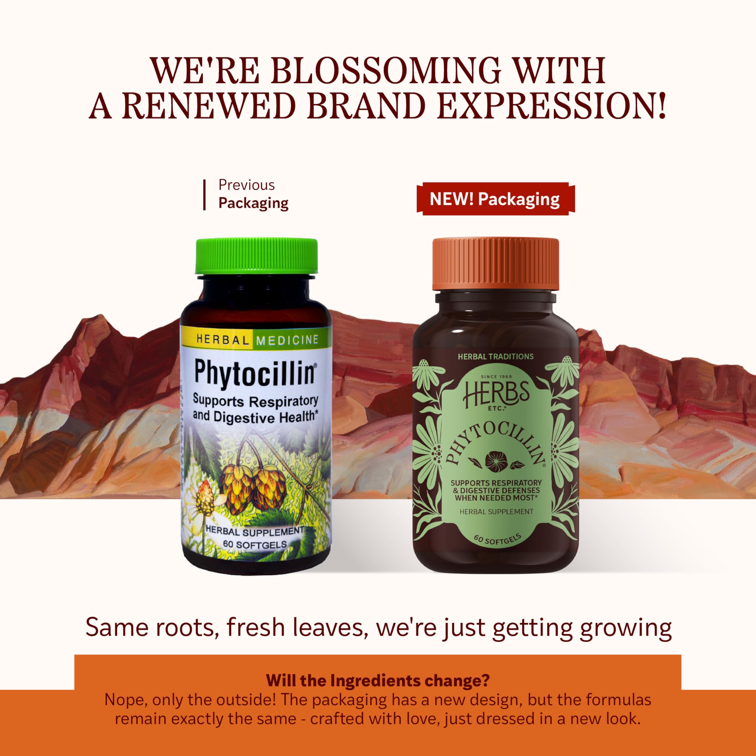 Herbs Etc. Phytocillin - Respiratory & Digestive Health Support Supplement - Herbal Formula to Support Digestion - Support Healthy Breathing - 60 Softgels (60 Servings) Herbs Etc. uk supplements