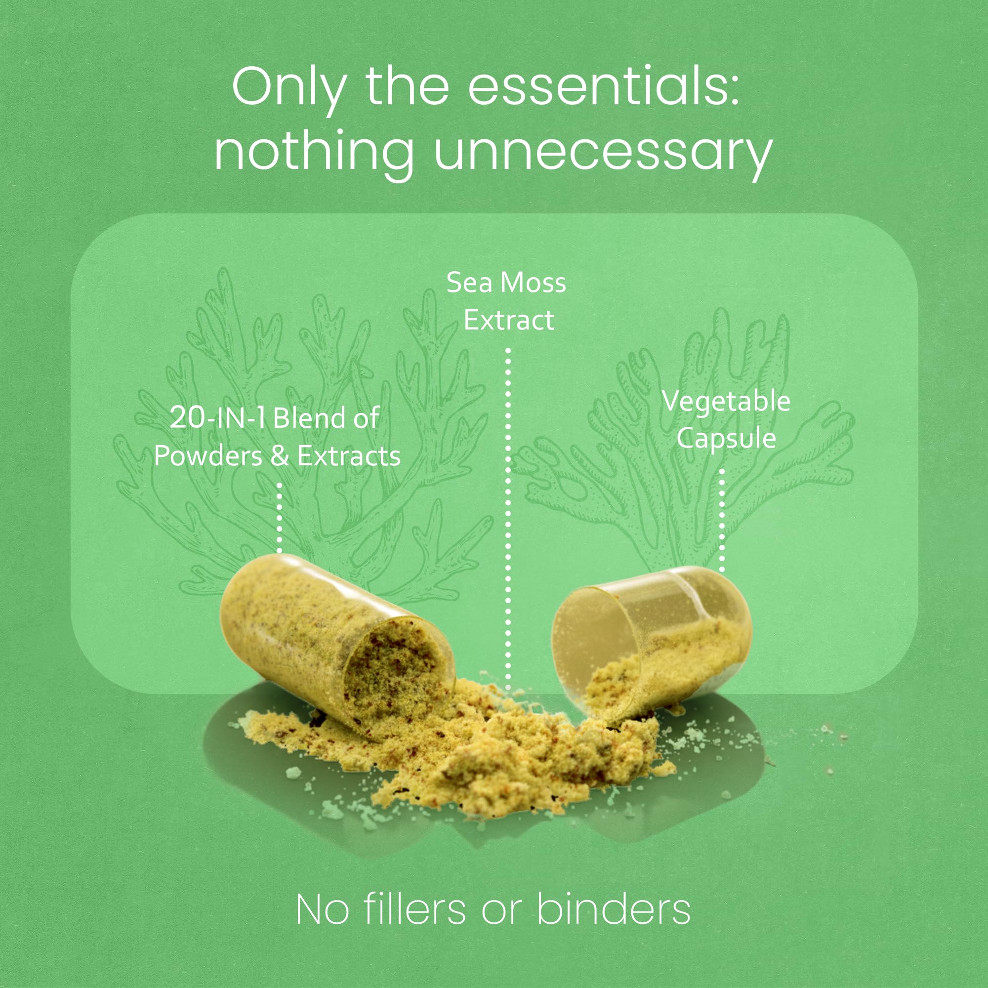 Sea Moss, Black Seed Oil, Bladderwrack, Turmeric, Ashwagandha, Burdock, Vitamin C, D3, Yellow Dock Root, Manuka, Dandelion - 90 Veggie caps NaturaLife Labs uk supplements