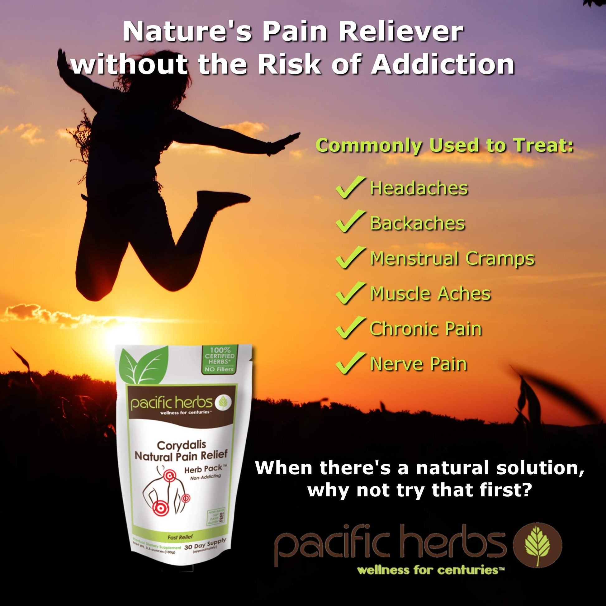 Pacific Herbs Corydalis Natural Pain Relief Herbs Pacific Herbs uk supplements