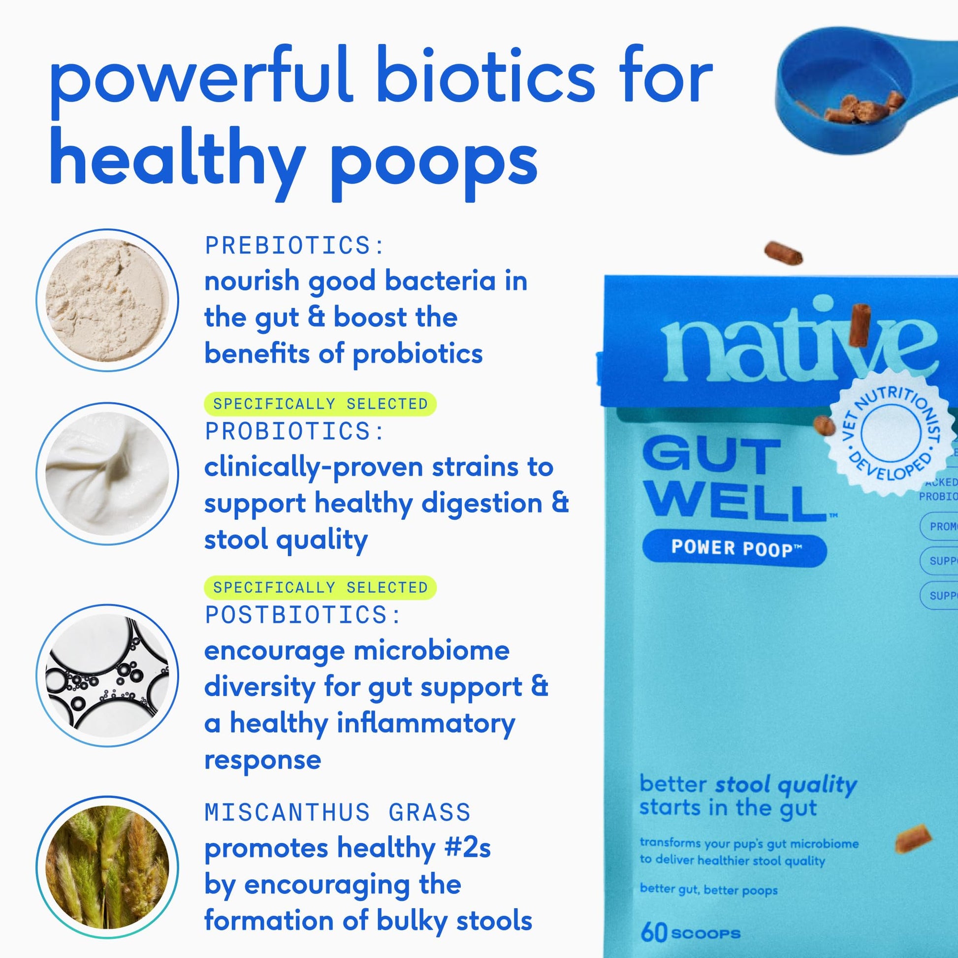 GutWell Power Poop - Digestive Enzymes & Fiber for Dogs - Dog Fiber Supplements Help with Diarrhea Relief, Upset Stomach, Pet Gas & Gut Health with Targeted Triple-Biotic Blend & M-Fiber - 60 Scoops Native Pet uk supplements