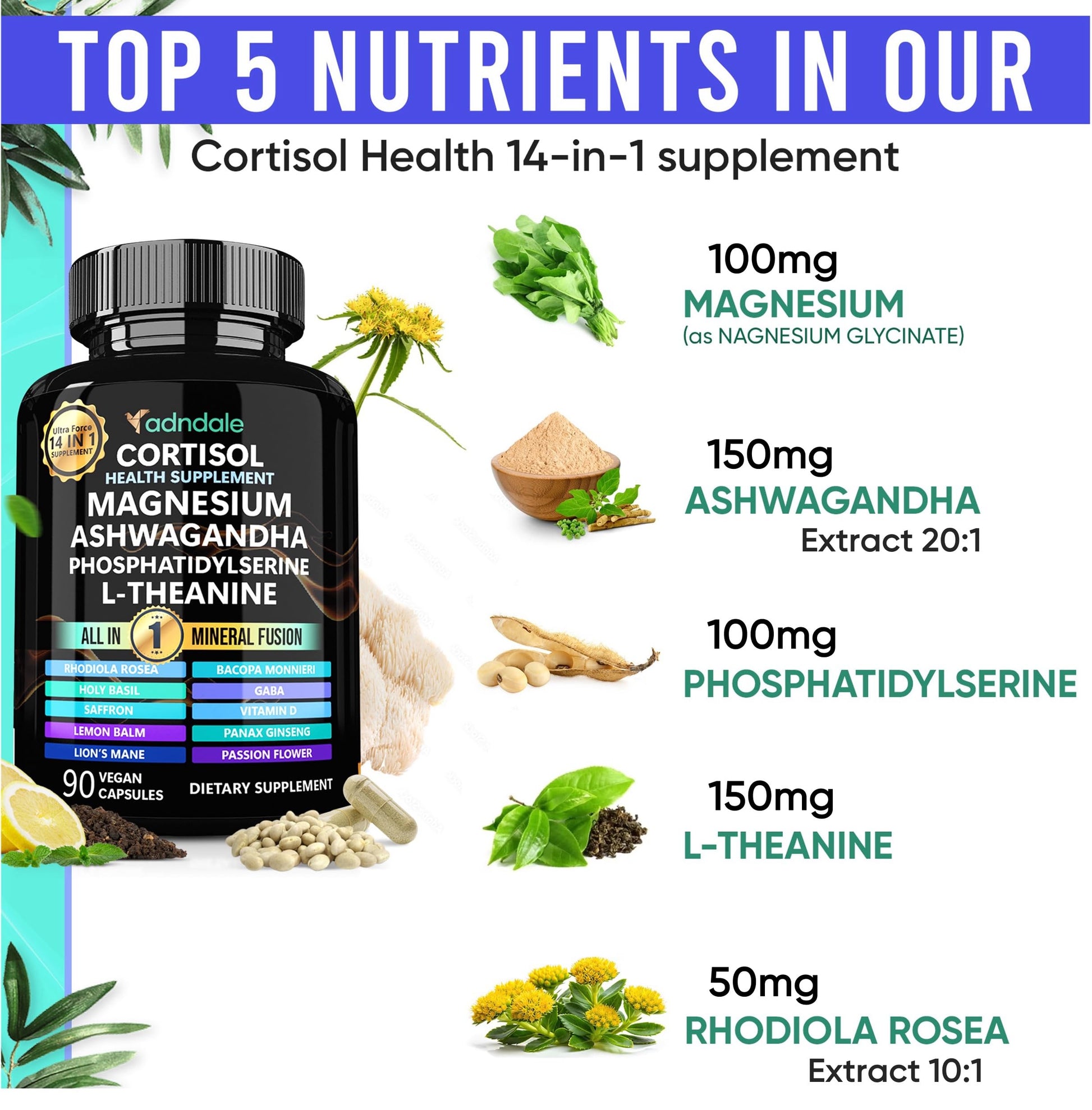 Adndale Cortisol Supplements for Women. Cortisol Reducer 14-in-1 Ashwagandha Supplement with Magnesium Glycinate, L-Theanine & More. 90 Capsules. Adndale uk supplements