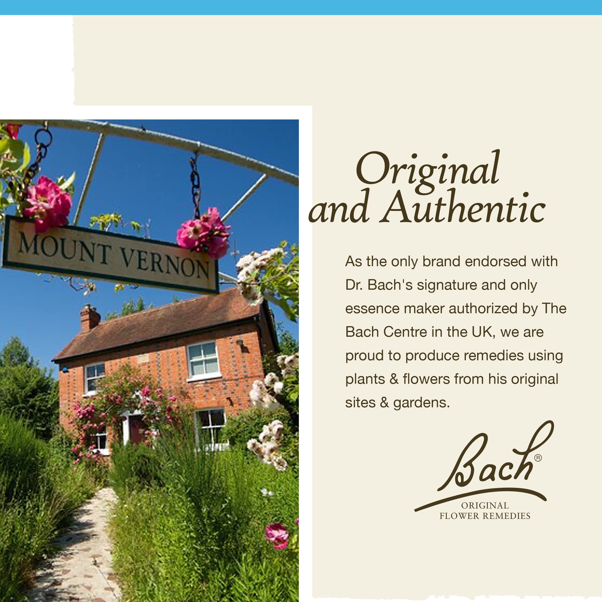 Bach Original Flower Remedies, Rock Water for Flexibility, Natural Homeopathic Flower Essence Bach uk supplements