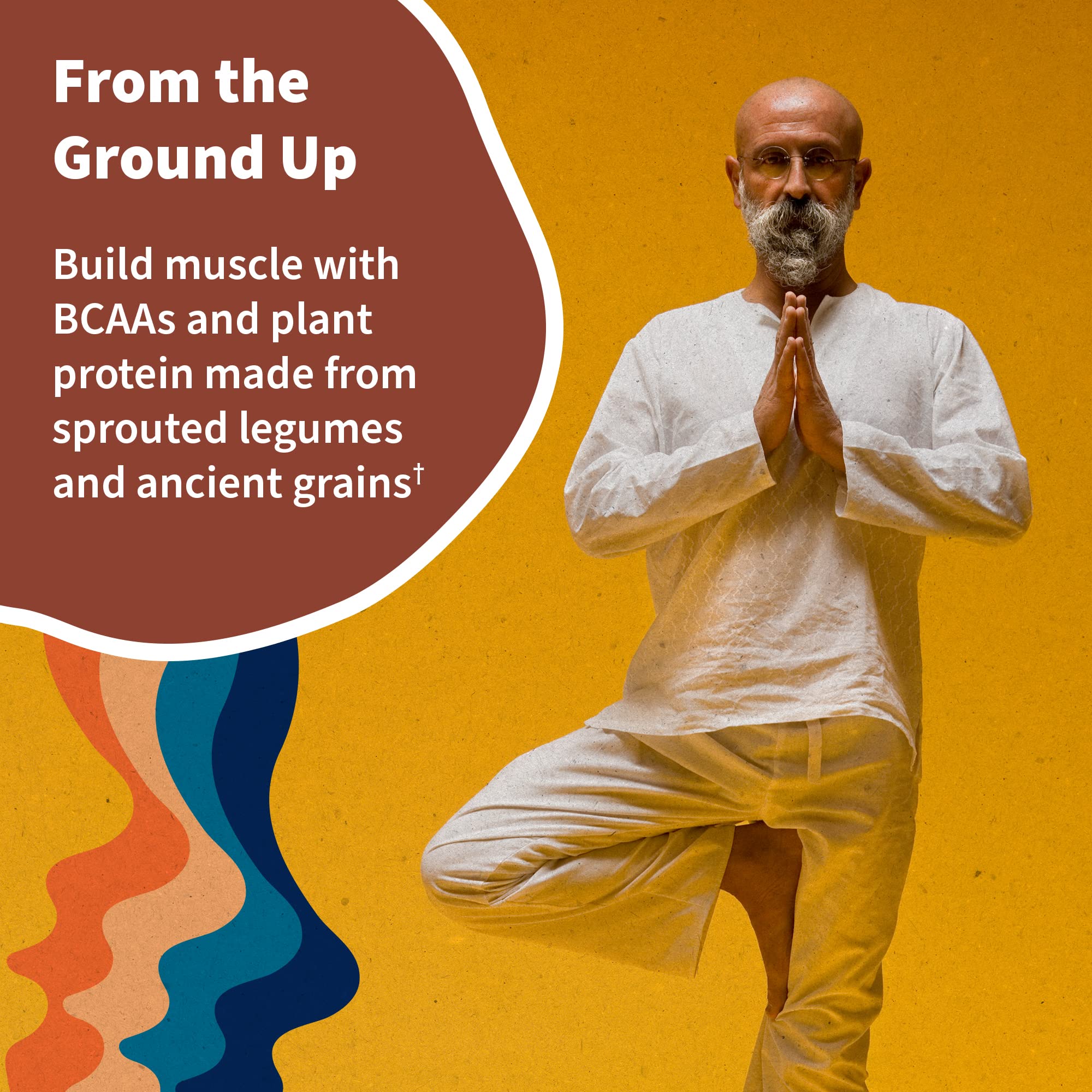 Garden of Life, Organic Vegan Vanilla Chai Protein Powder -22g Complete Plant Based Raw Garden of Life uk supplements