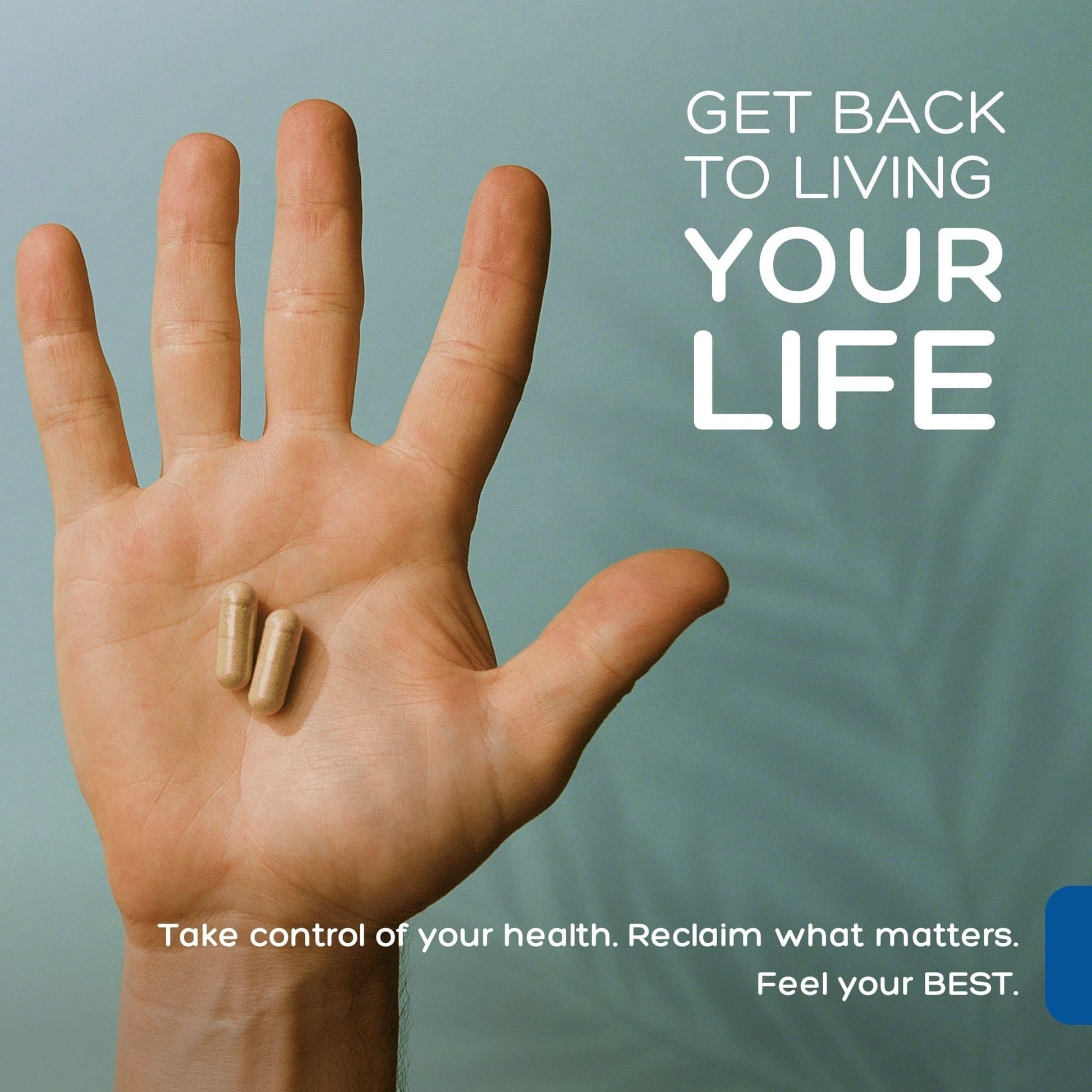 Natural Cure Labs Premium Immune Support Natural Cure Labs uk supplements