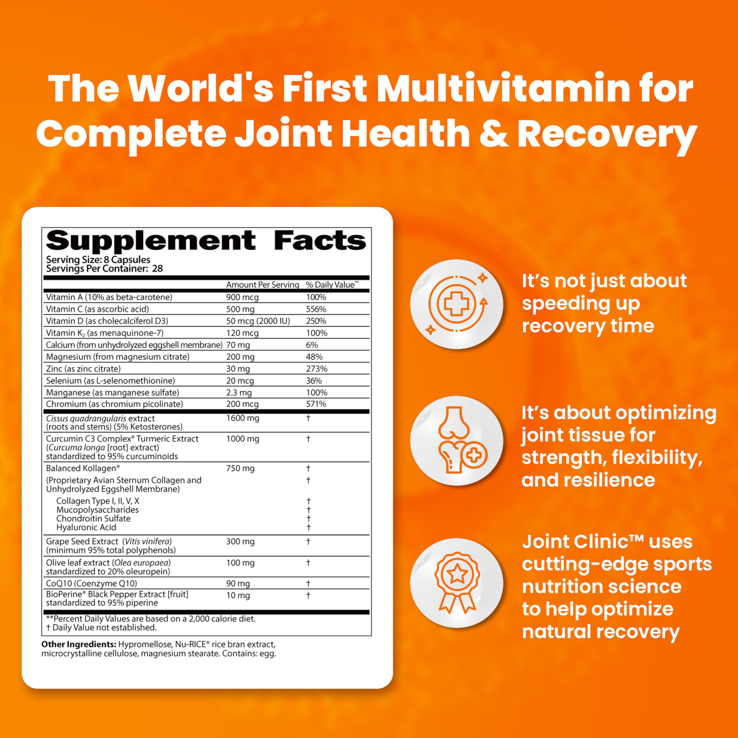 SaltWrap Joint Clinic - Multivitamin for Joint Health and Recovery - with Type II Collagen, C3 Turmeric, Cissus, and Hyaluronic Acid - 224 Capsules SaltWrap uk supplements