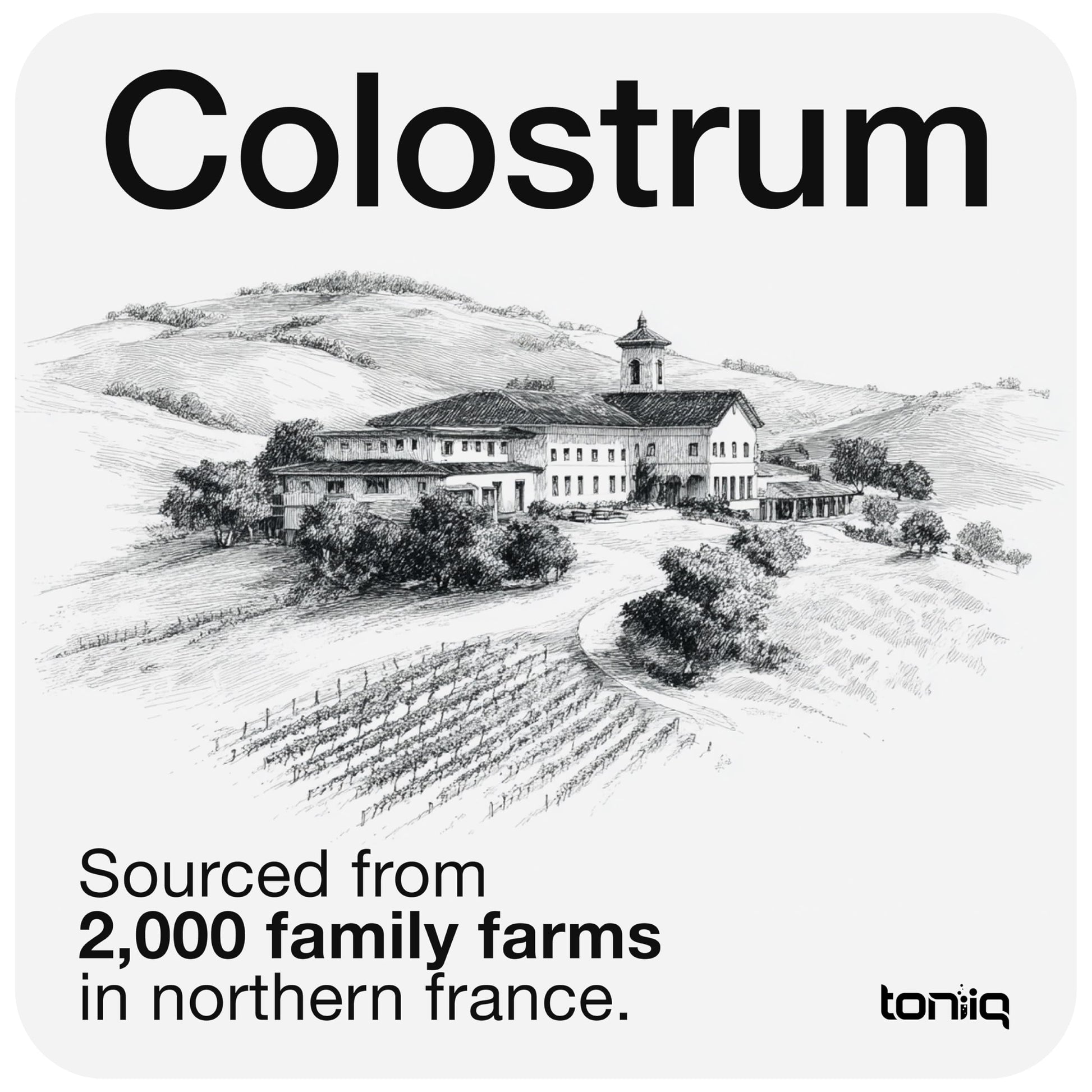 Toniiq Colostrum Powder – Ultra High Potency 50% IgG Concentrate – Farm-to-Jar Traceable French Colostrum – Microfiltered for Purity – Third-Party Lab Verified – 30 Servings Toniiq uk supplements