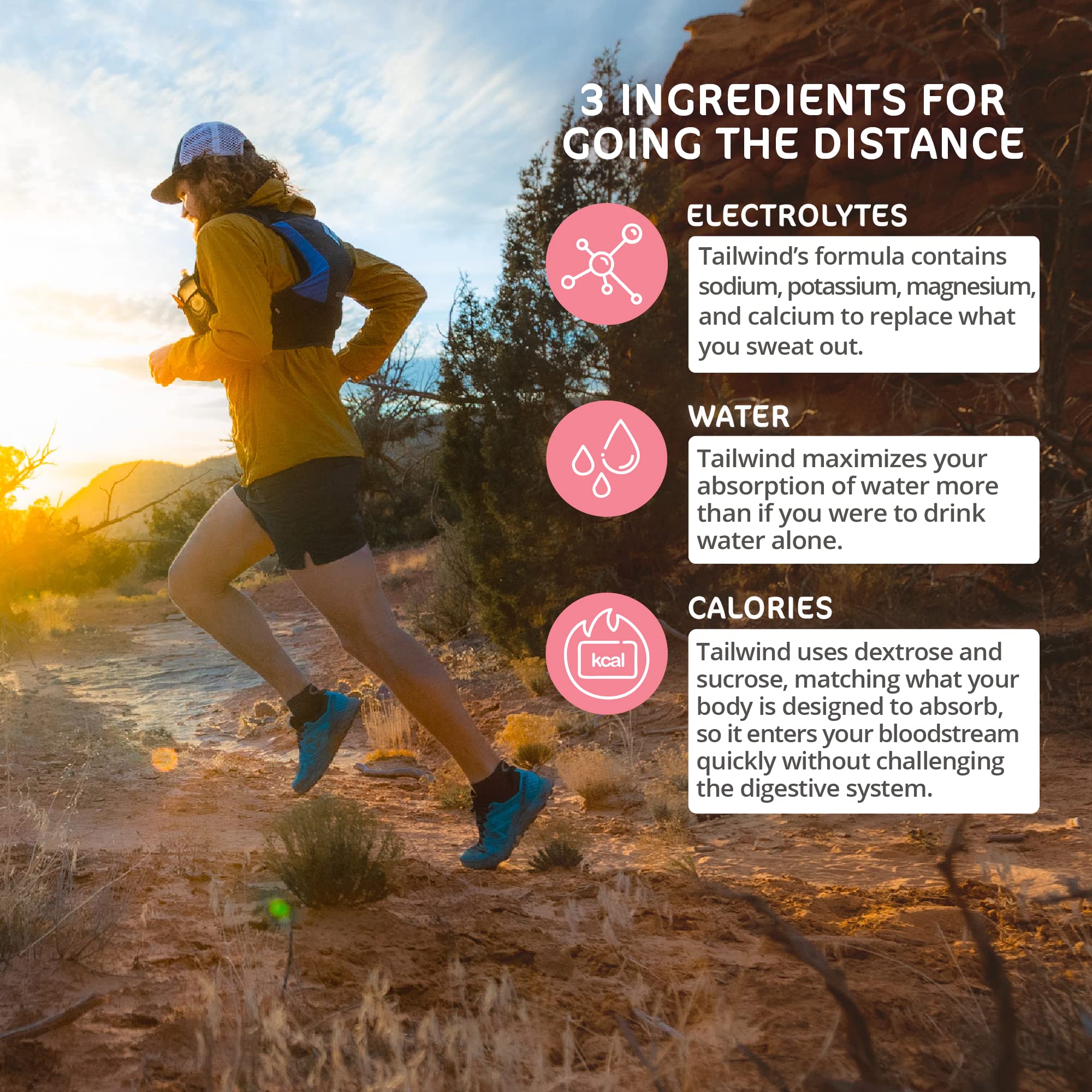 Tailwind Nutrition Endurance Fuel, Caffeine Drink Mix with Electrolytes Tailwind uk supplements