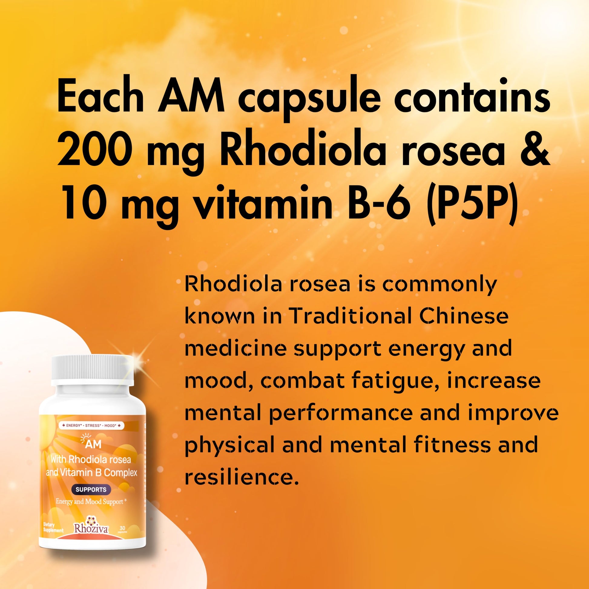 AM PM Multivitamin - Cortisol Supplements for Women and Men with L-Theanine, Ashwagandha - Rhodiola Rosea Supplement 200mg - Vitamin B Complex - Nootropics - Day and Night Vitamins for Women & Men Rhoziva uk supplements