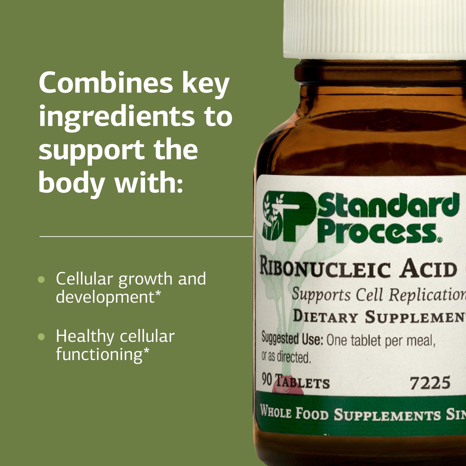 Standard Process Ribonucleic Acid RNA - Cell Development Support - Aids Protein Synthesis - Vegan, Gluten-Free, Non-Soy, & Non-Grain - 90 Tablets (90 Servings) Standard Process Inc. uk supplements