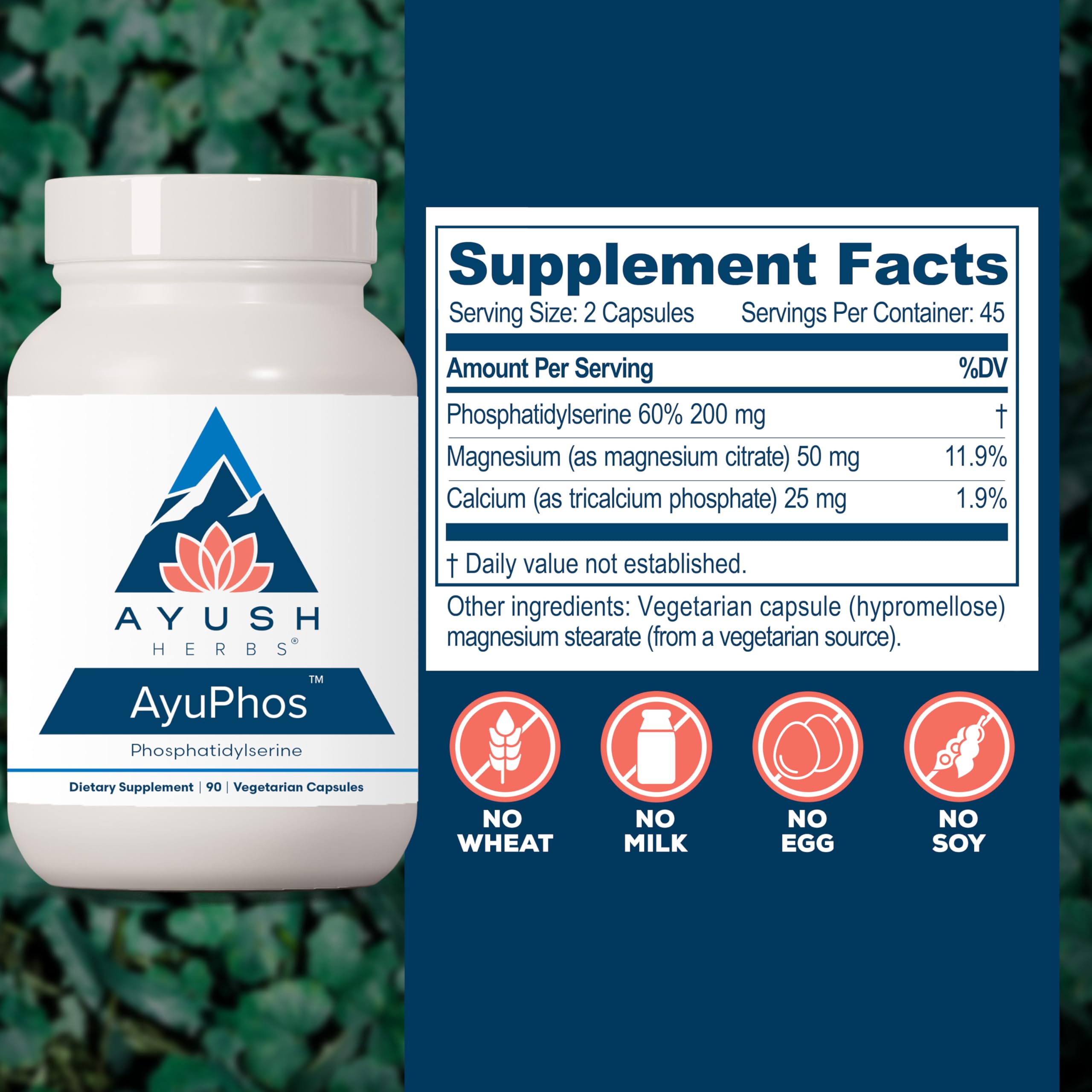 Ayush Herbs AyuPhos - Phosphatidylserine Supplement for Men & Women, Soy-Free Phosphatidyl Serine, Brain, Memory, & Cognitive Support for Adults, 200mg Per Pill - 45 Servings Ayush Herbs uk supplements