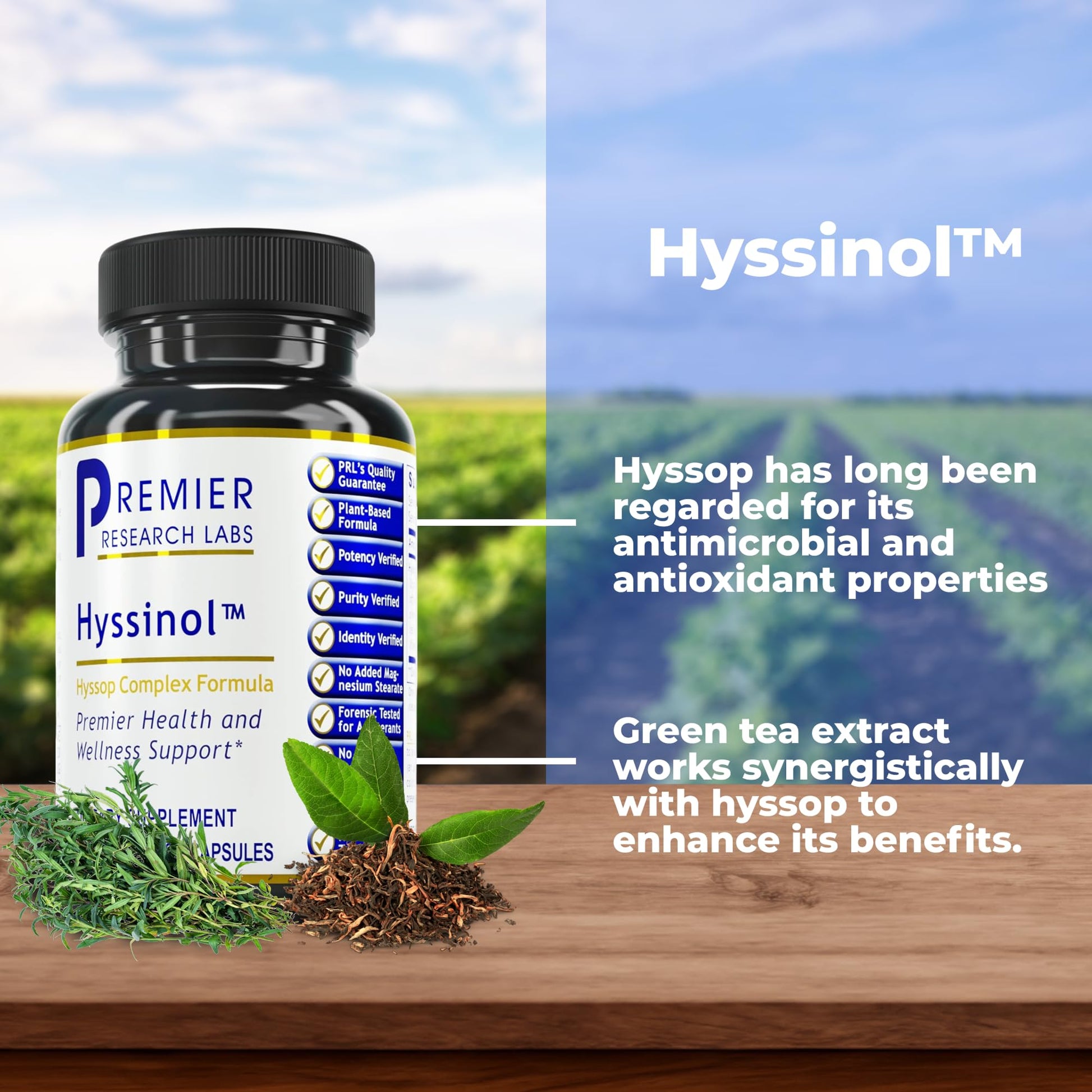 Premier Research Labs Hyssinol - Hyssop Herb, Hyssop Capsules, Wellness Pills with Organic Hyssop Dry Herb, Dietary Supplement with Green Tea, Antioxidant Support - 60 Vegetarian Capsules Premier Research Labs uk supplements