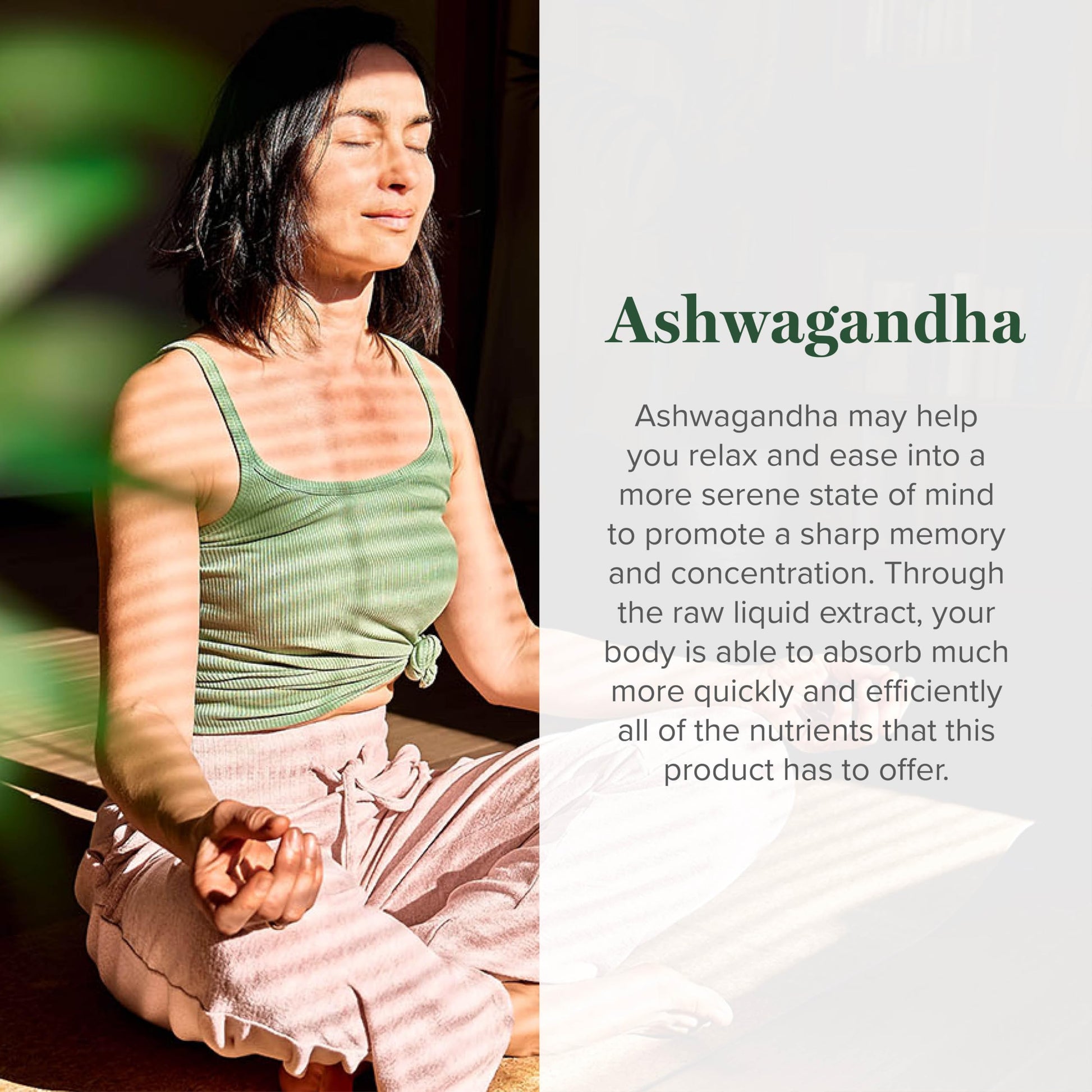 Global Healing Center - Organic Ashwagandha Supplements Drops - KSM-66 Ashwagandha Extra Strength for Men & Women, Helps Promote Relief from Stress, Mood Support, Organic (2 Fl Oz) Global Healing Center uk supplements
