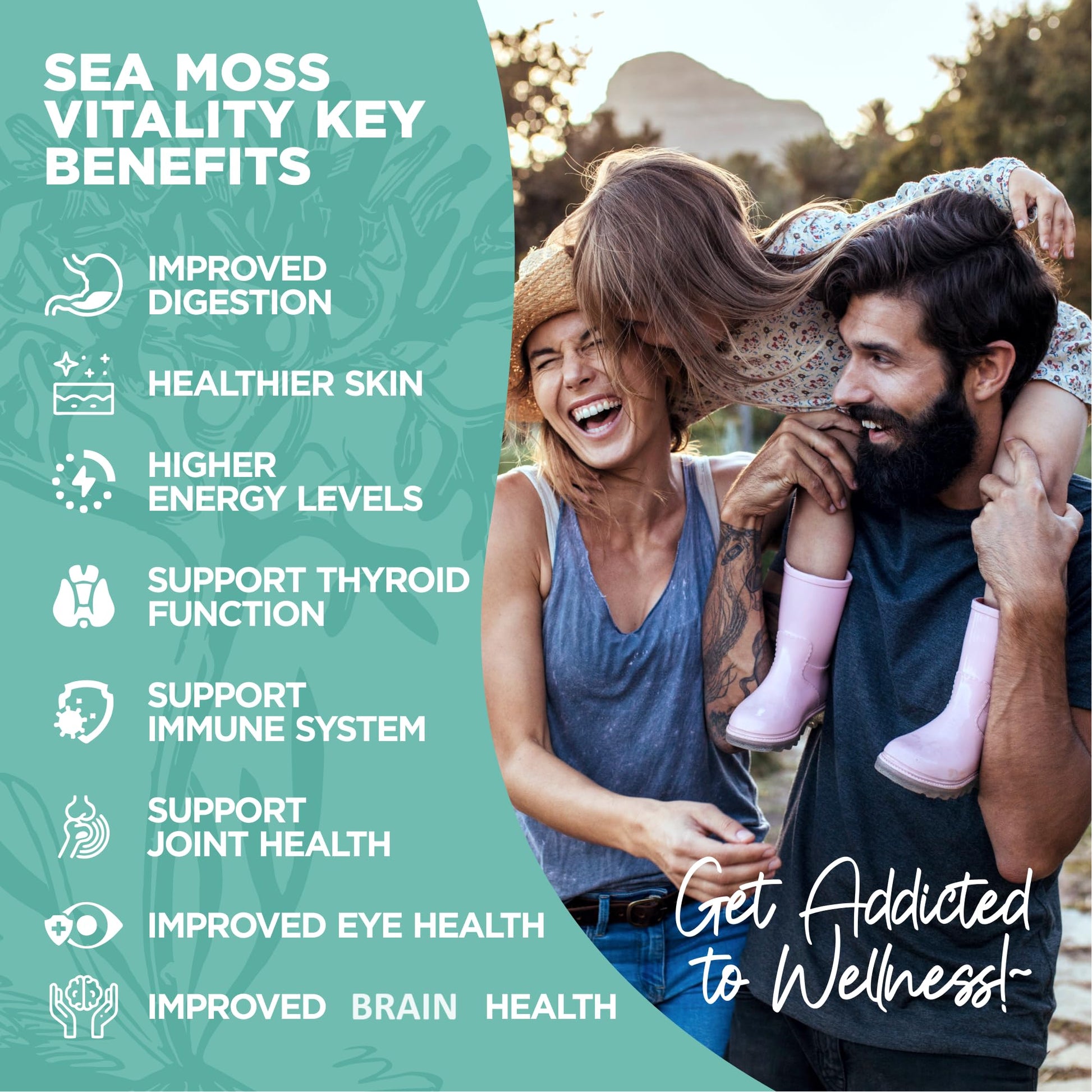 HerbaMe Organic Irish Sea Moss with Bladderwrack, Burdock Root & Black Pepper Extract, 150 Capsules, Thyroid Support, Natural Iodine Source, Promotes Immune System, Cell Food, Alkaline Supplement HerbaMe uk supplements