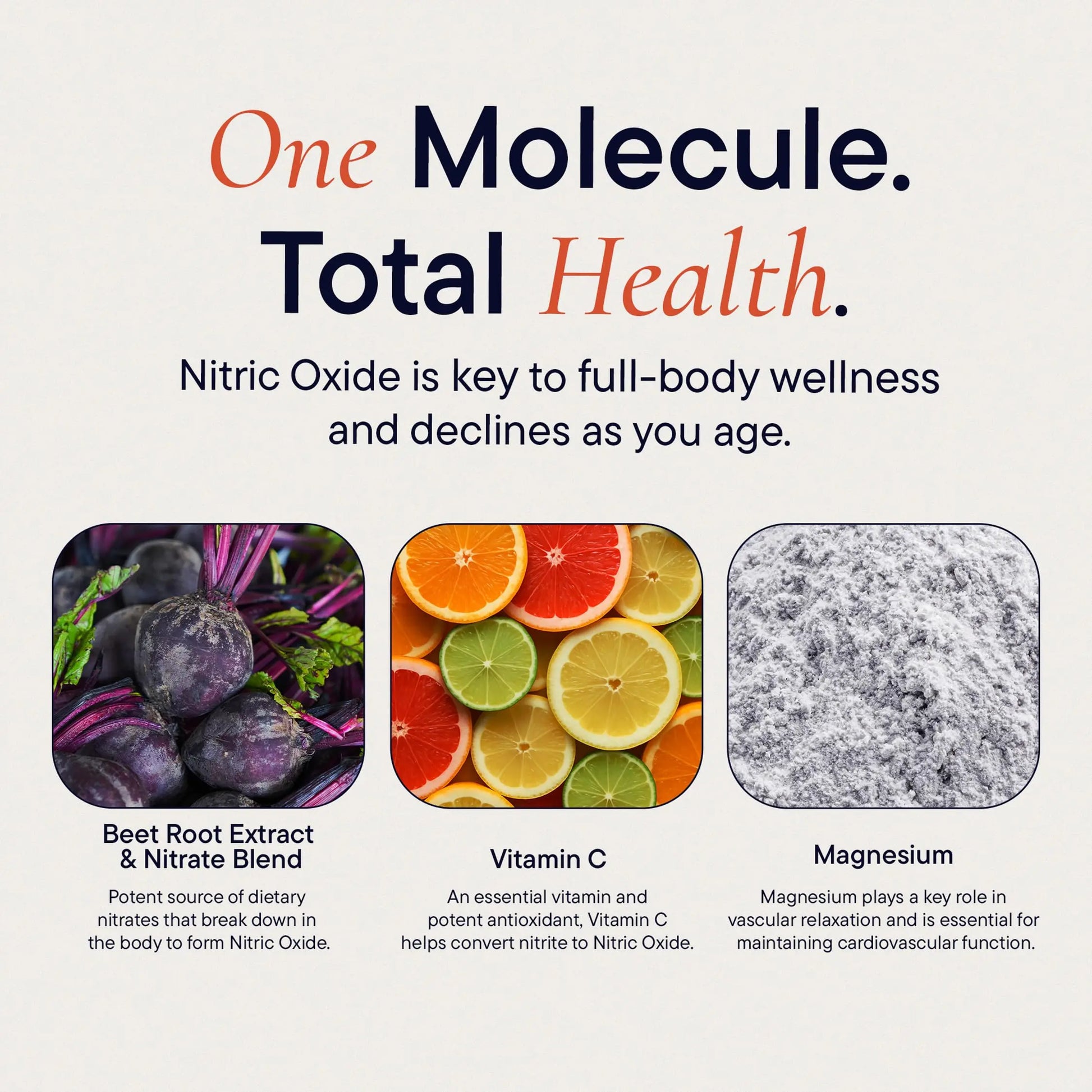 Berkeley Life Nitric Oxide Support Supplement - Nitric Oxide Booster for Men & Women - Blood Flow & Circulation with Beet Root Powder to Support Energy, Heart Health Berkeley Life uk supplements