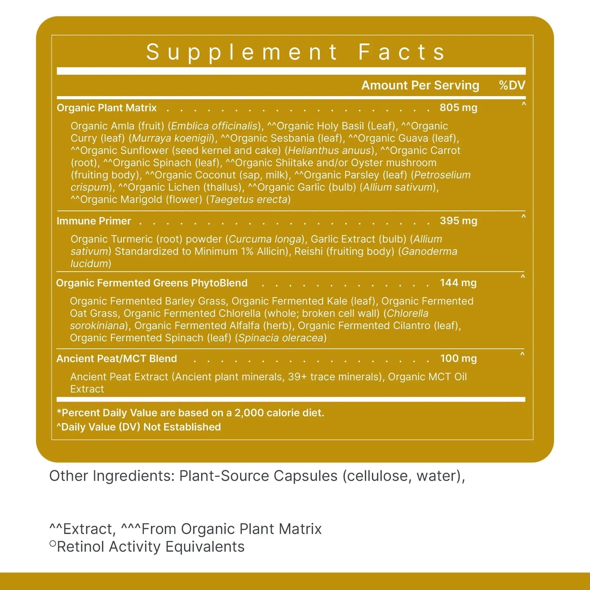 Premier Research Labs Multi-Vitamin - Immune, Brain & Heart Support | with Prebiotics and Postbiotics | Vegan Capsules for Men & Women Premier Research Labs uk supplements
