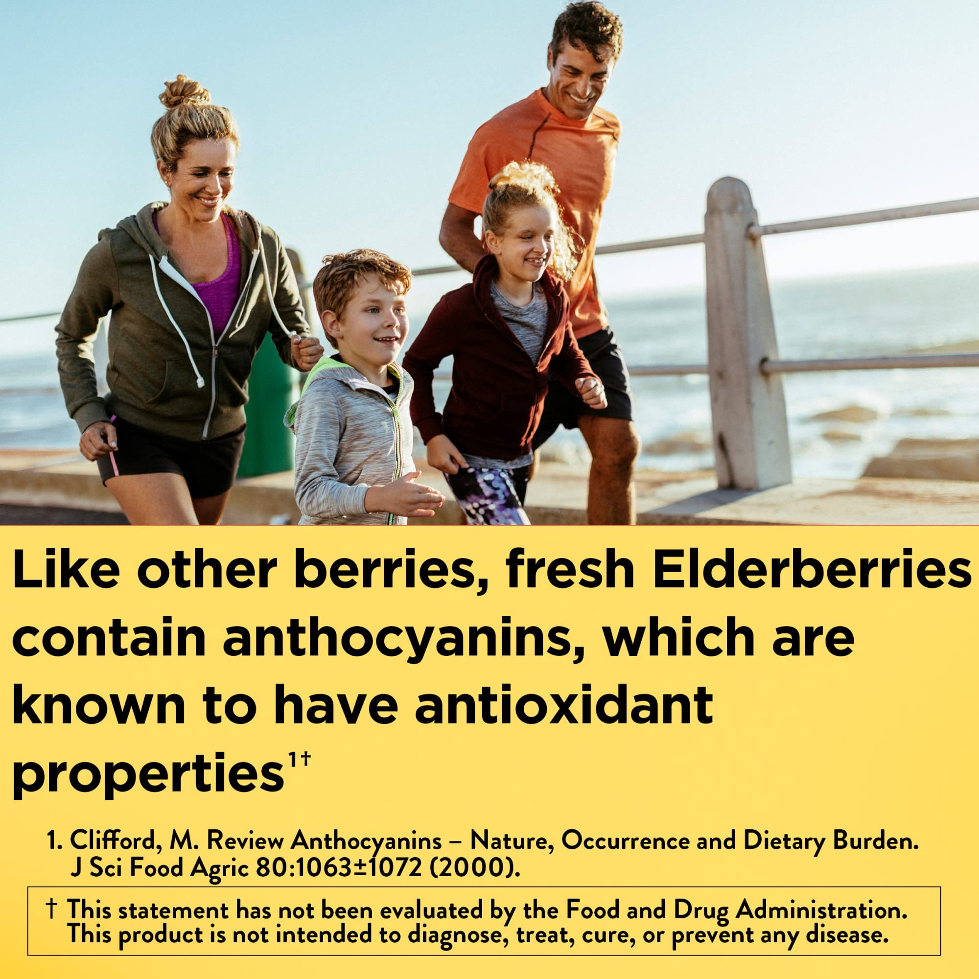 Nature Made Elderberry 400 mg Extract with Vitamin C and Zinc, Dietary Supplement Nature Made uk supplements
