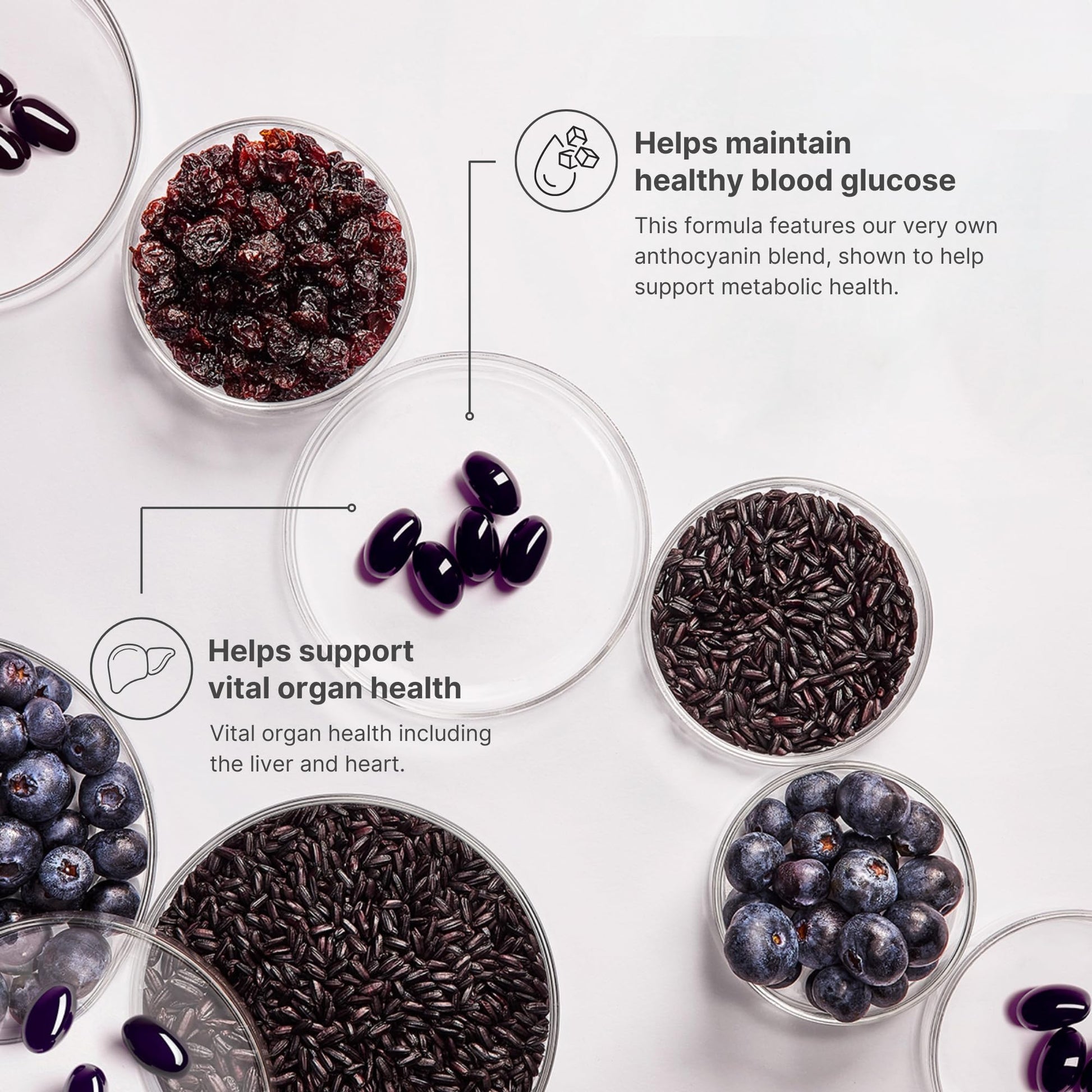 Nu Skin ageLOC Meta | Premium Dietary Supplement | Advanced Soft Gel Capsules Promoting Metabolic Health, Immune Support, Antioxidant Defense, and Improved Gut Health Nu Skin uk supplements