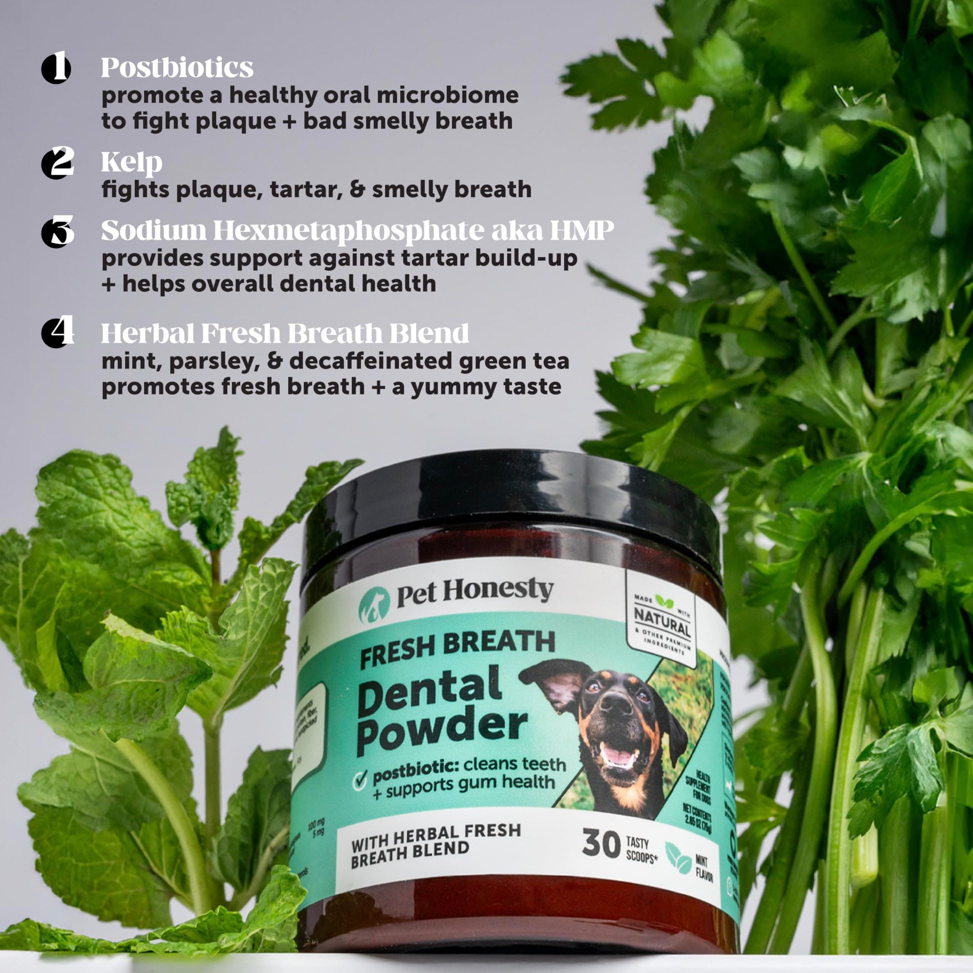 Dog Breath Freshener Dental Powder for Teeth Cleaning Plaque Off, Dental Care for Dogs, Tartar Remover for Teeth with Natural Herbal Blend + Postbiotics (Mint - 30 Servings) Pet Honesty uk supplements