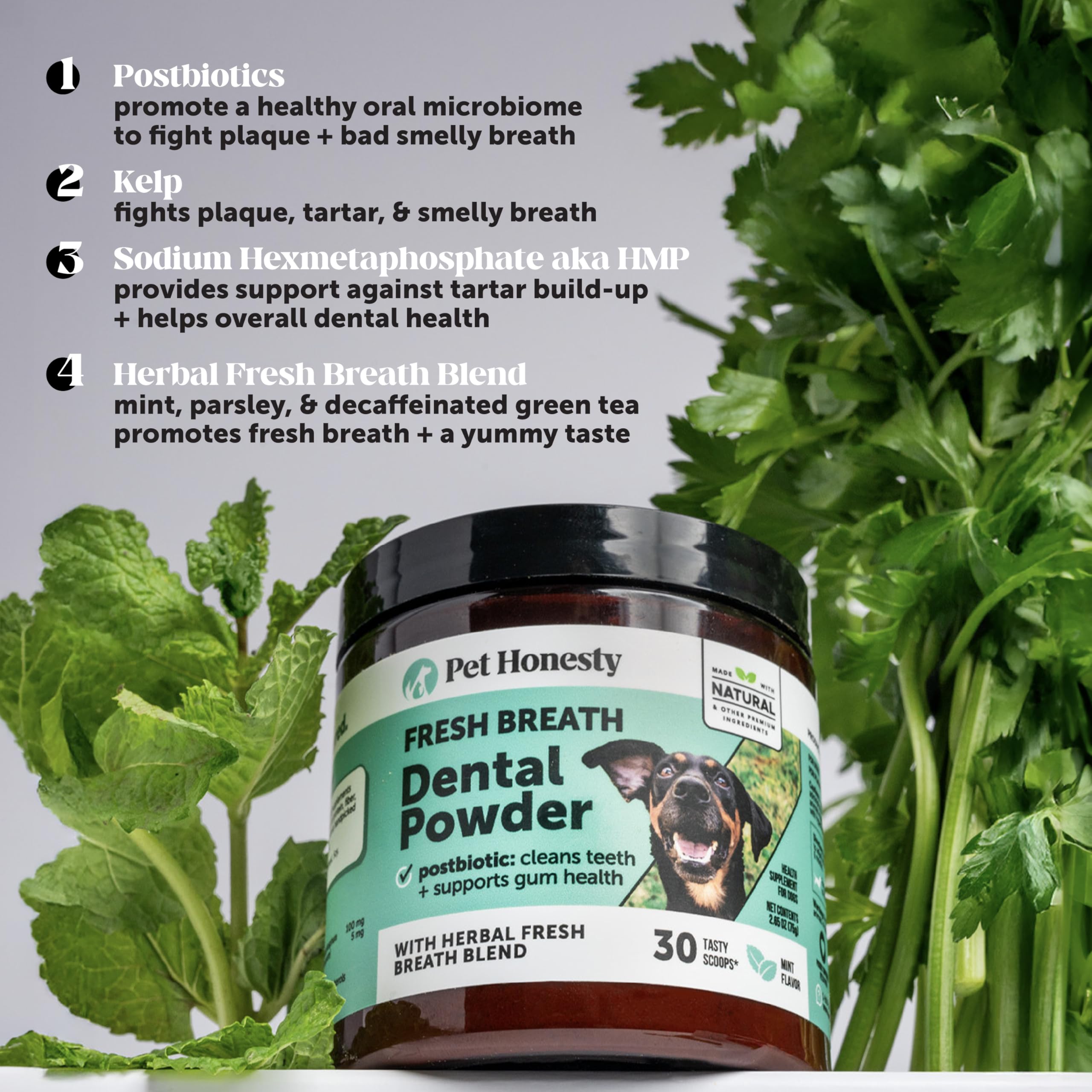 Dog Breath Freshener Dental Powder for Teeth Cleaning Plaque Off, Dental Care for Dogs, Tartar Remover for Teeth with Natural Herbal Blend + Postbiotics (Mint - 30 Servings) Pet Honesty uk supplements